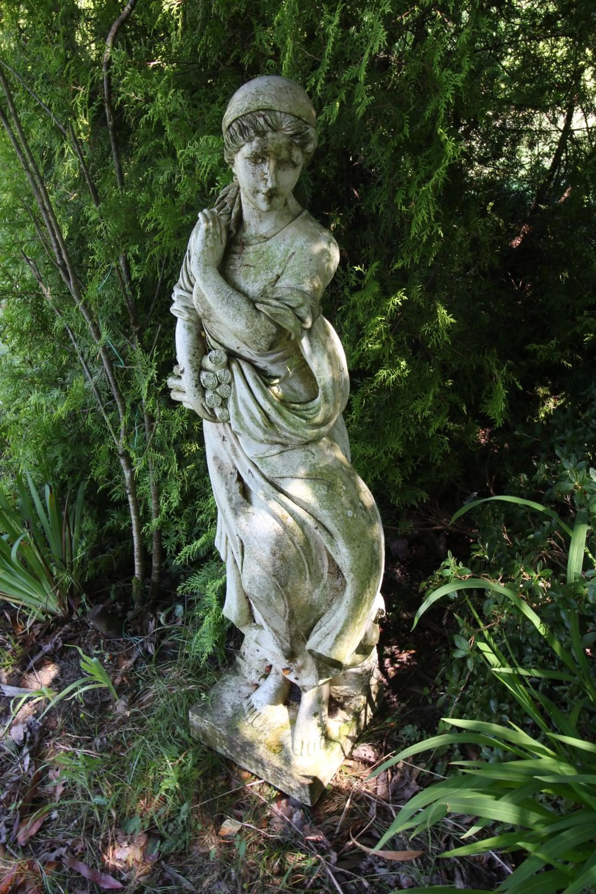 Garden in Woodlands Lodge Hotel