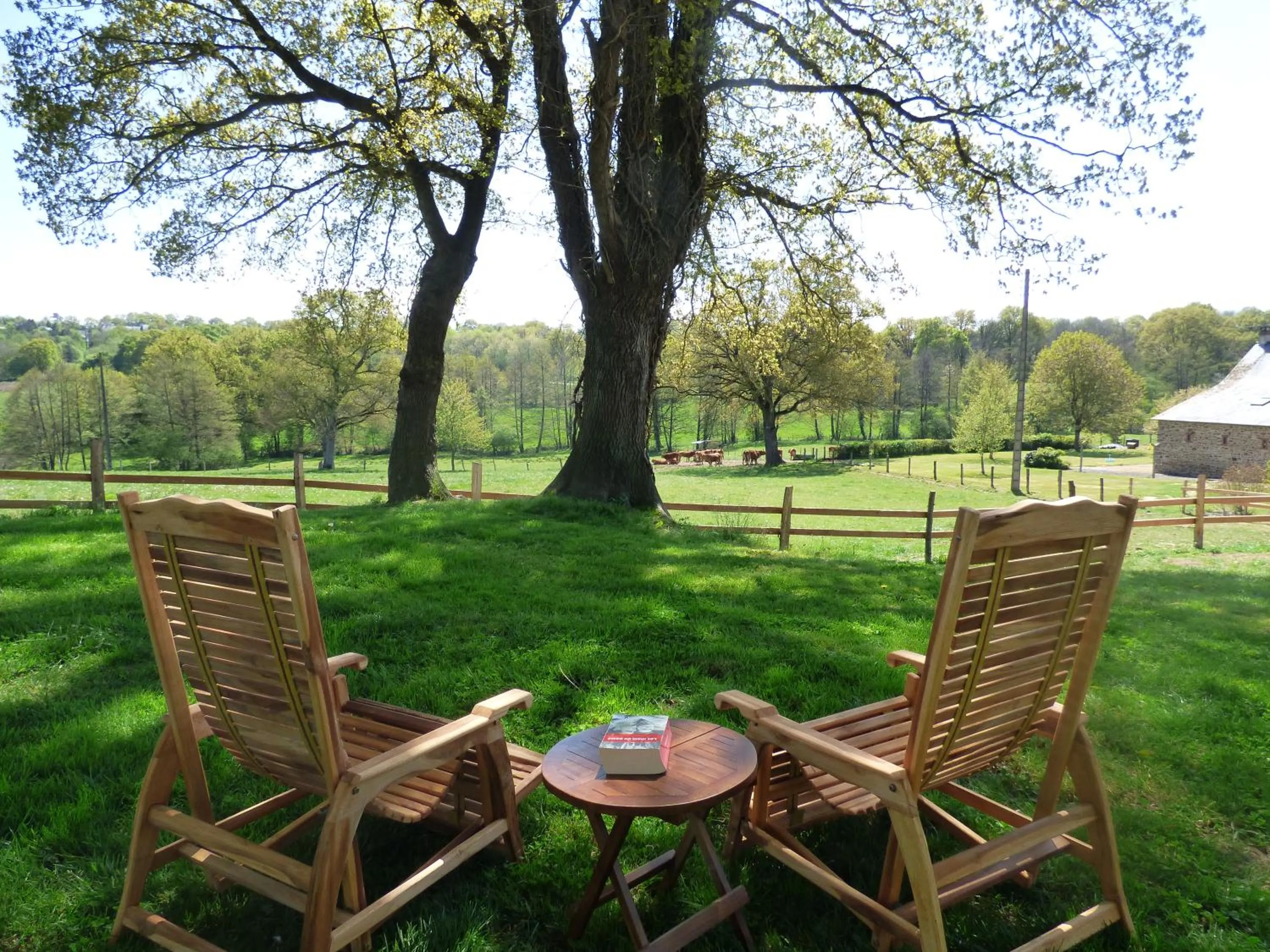 View (from property/room) in le Vallon des 5 Roses