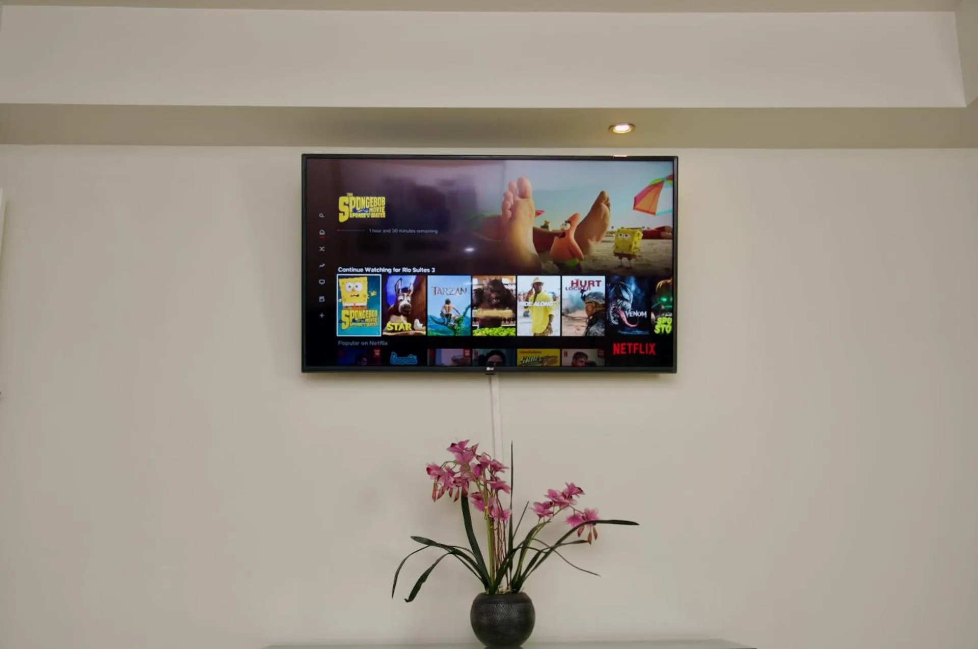 TV and multimedia in Rio Suites