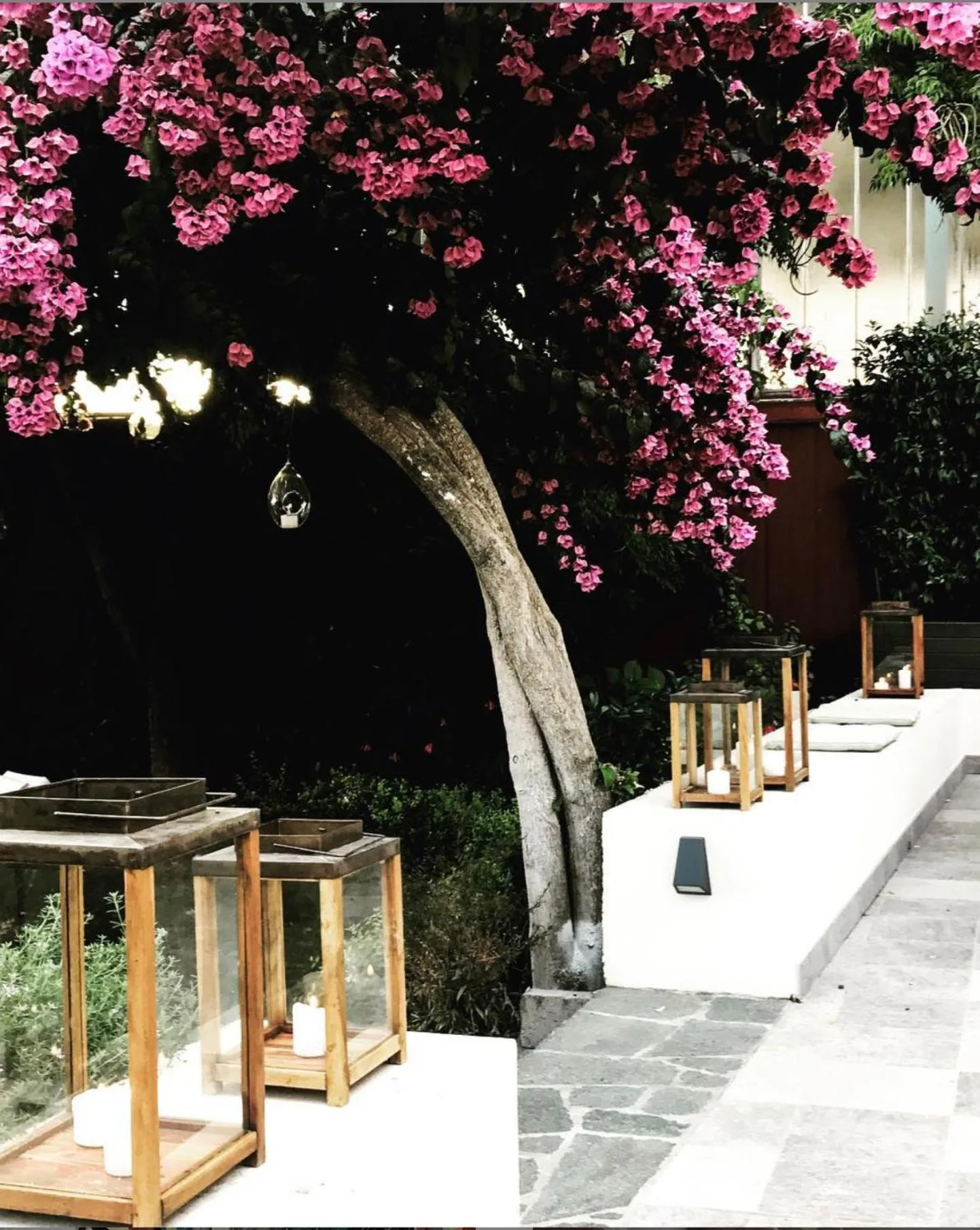 Garden view in Blu Hotel