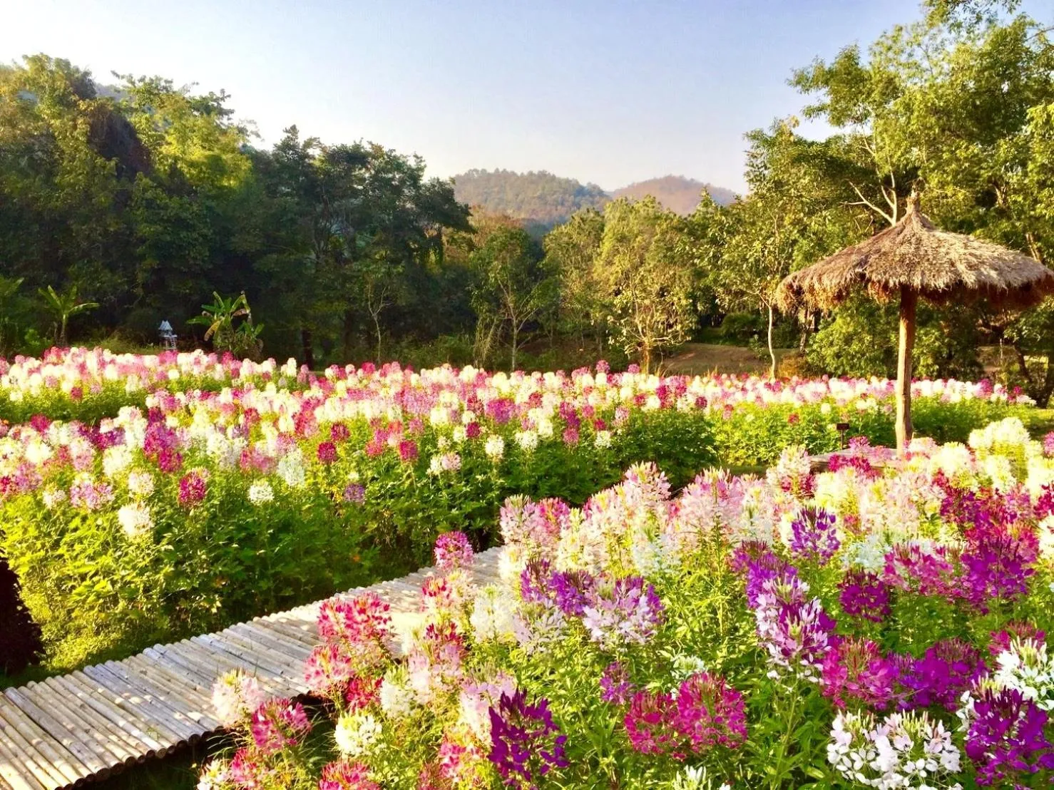 Garden in Sibsan Resort & Spa Maetaeng Chiang Mai