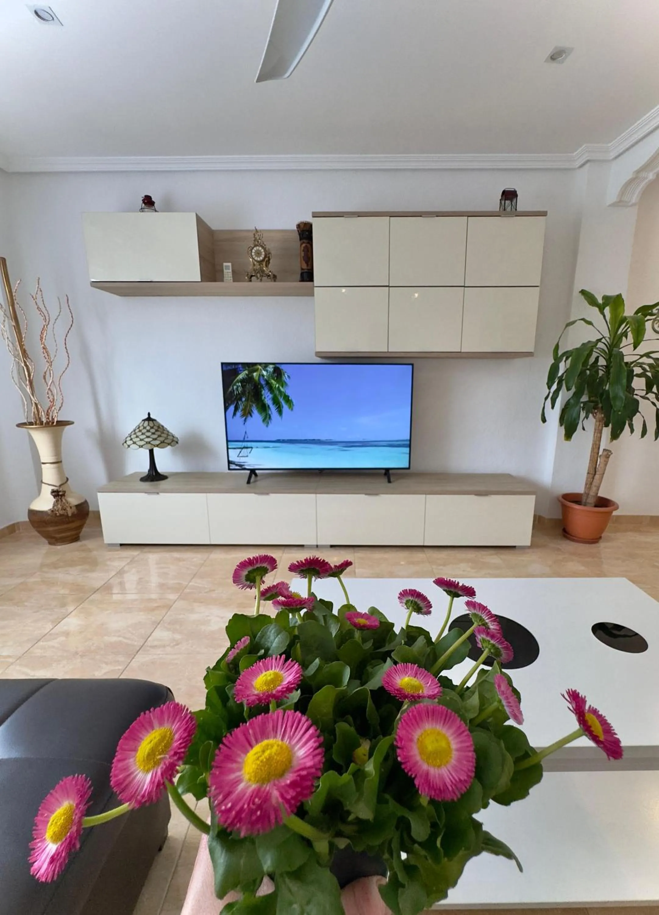 Alenia Apartments