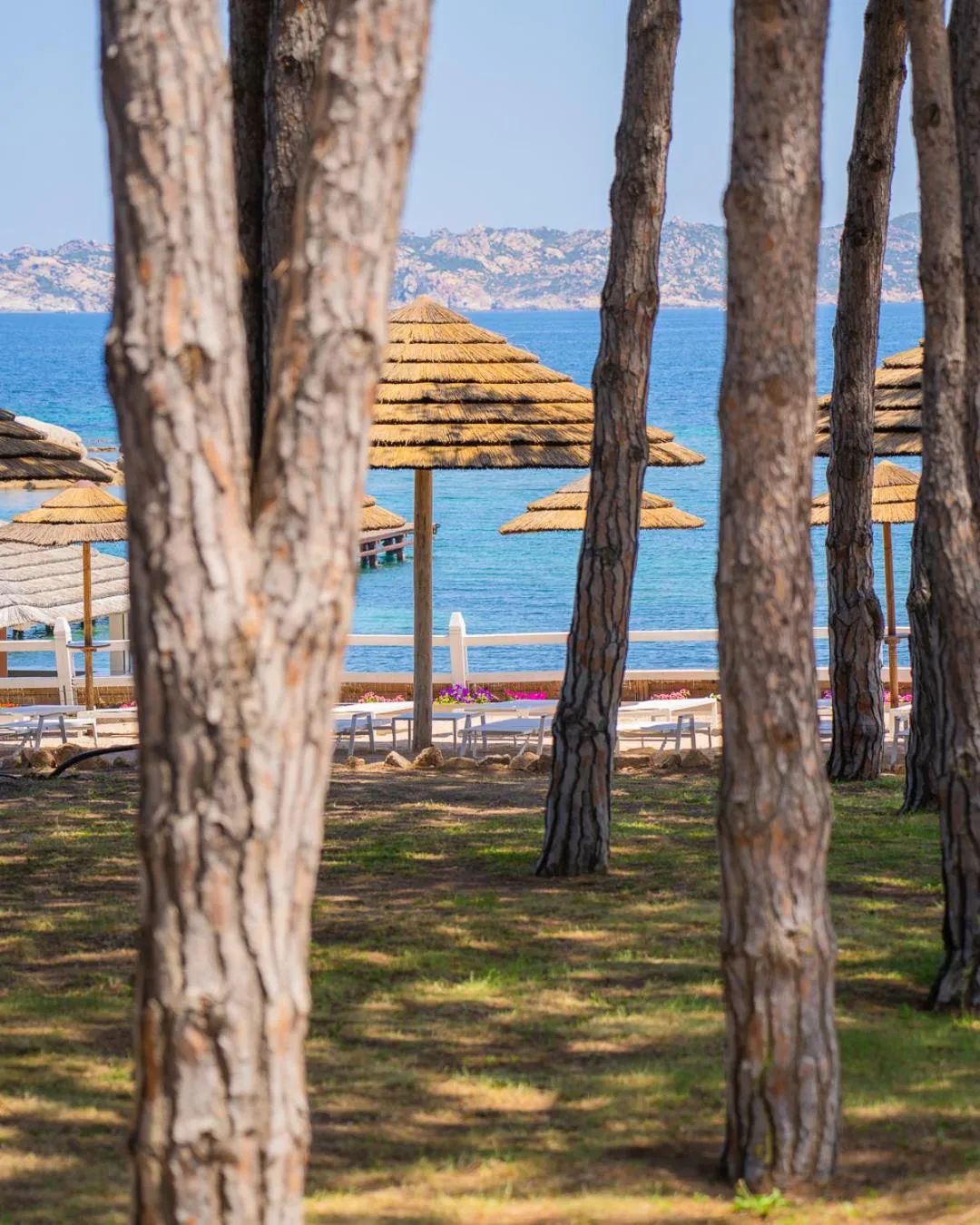 Beach in Felix Hotels - Hotel La Coluccia