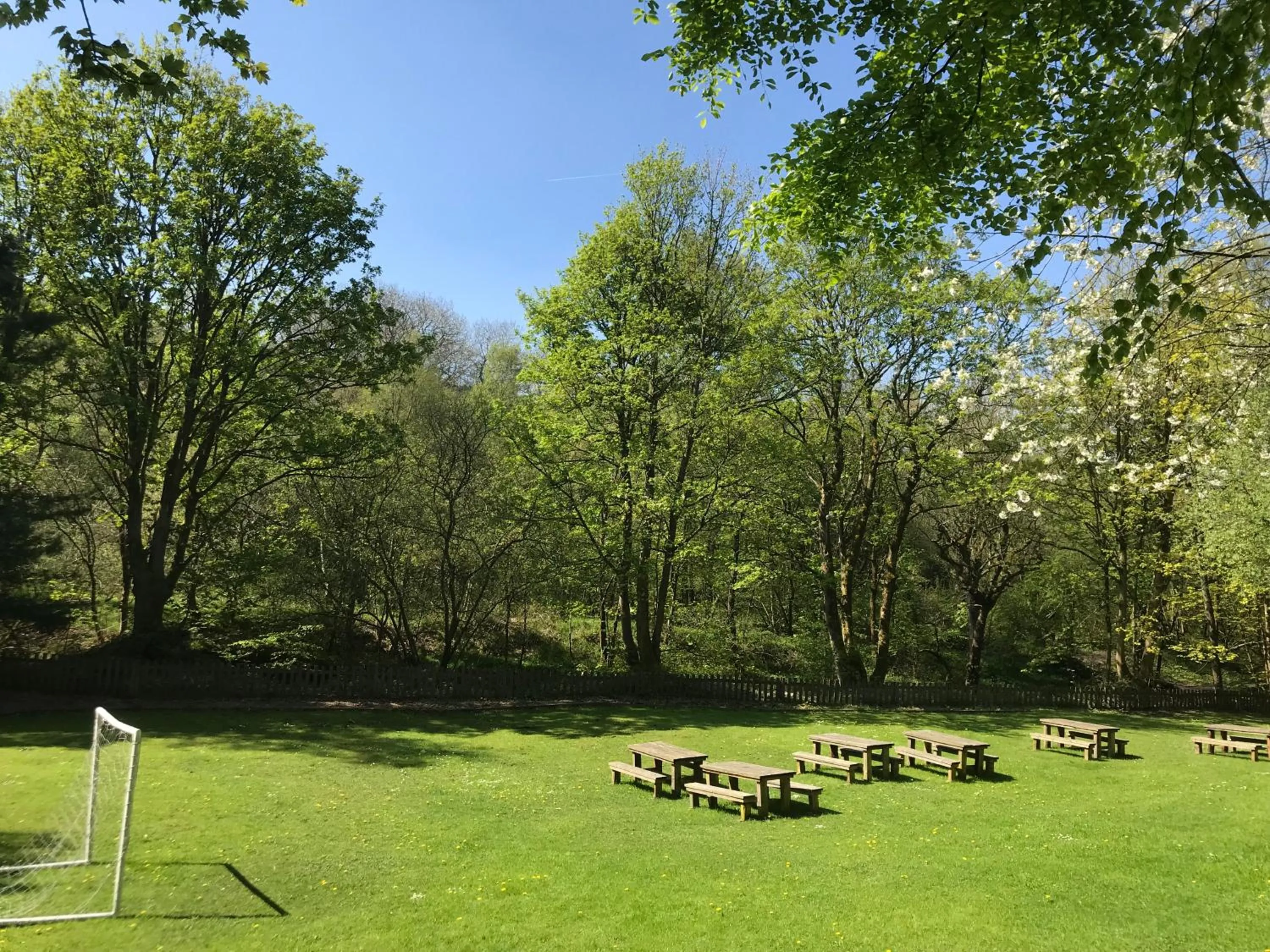 Natural landscape in The Sycamore Inn