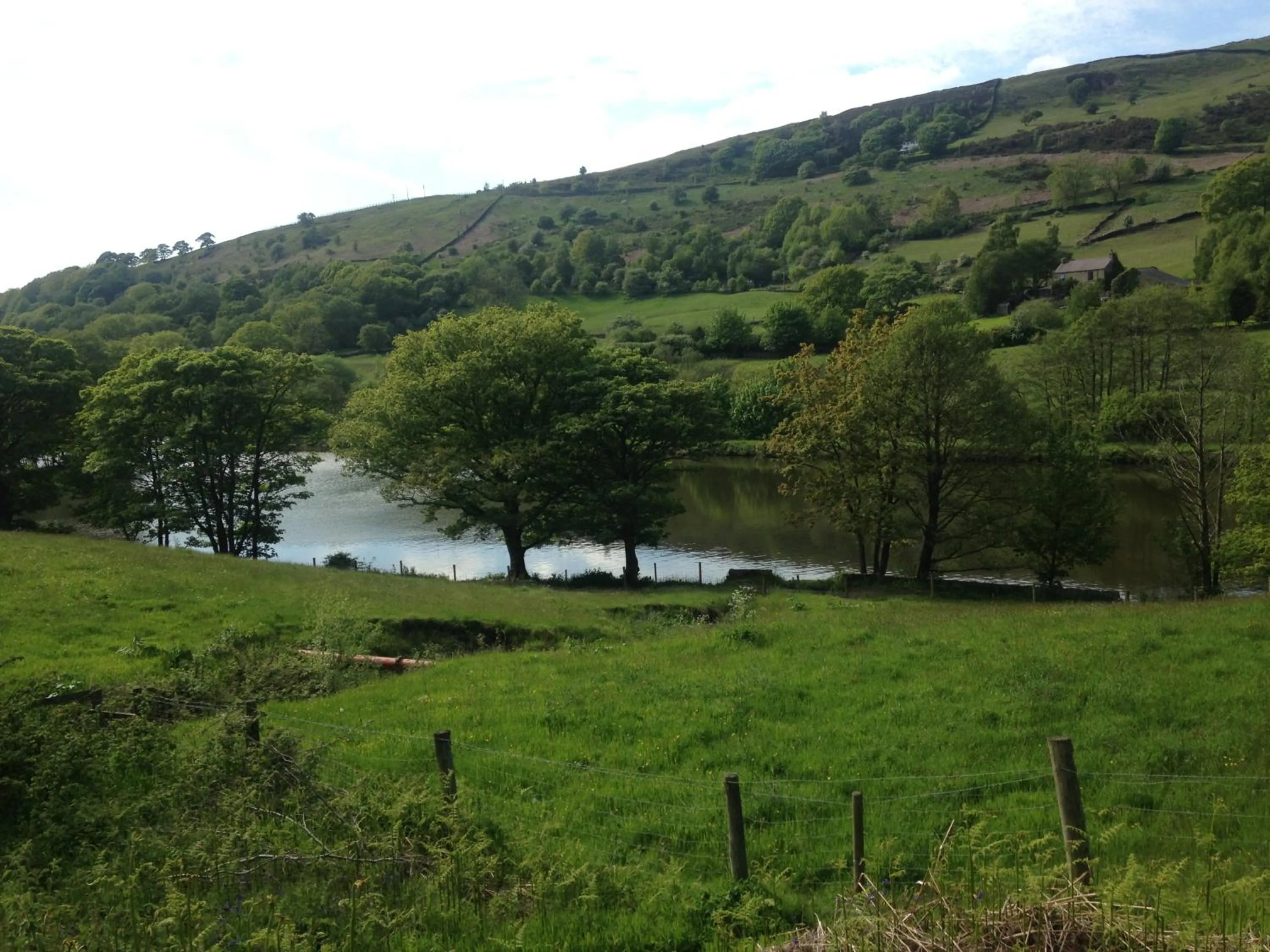 Natural landscape in The Sycamore Inn