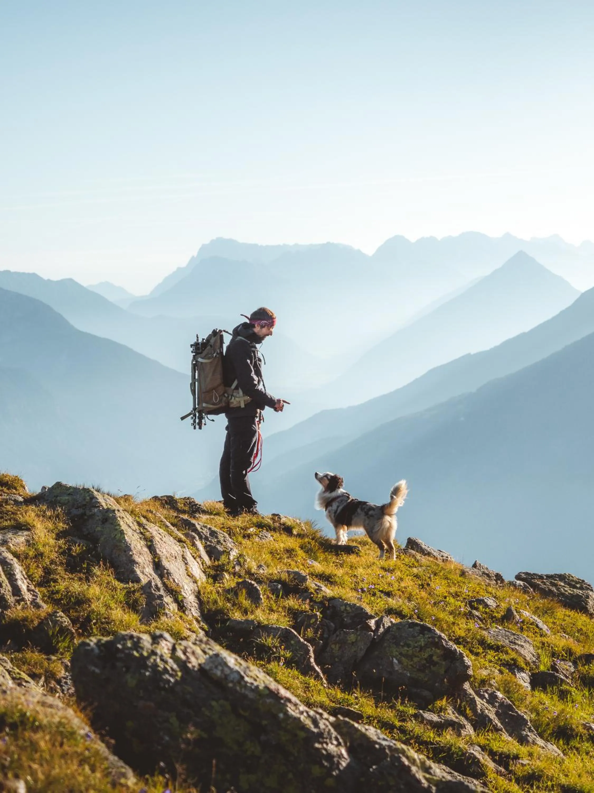 Pets in Apartmenthaus Gotthardt