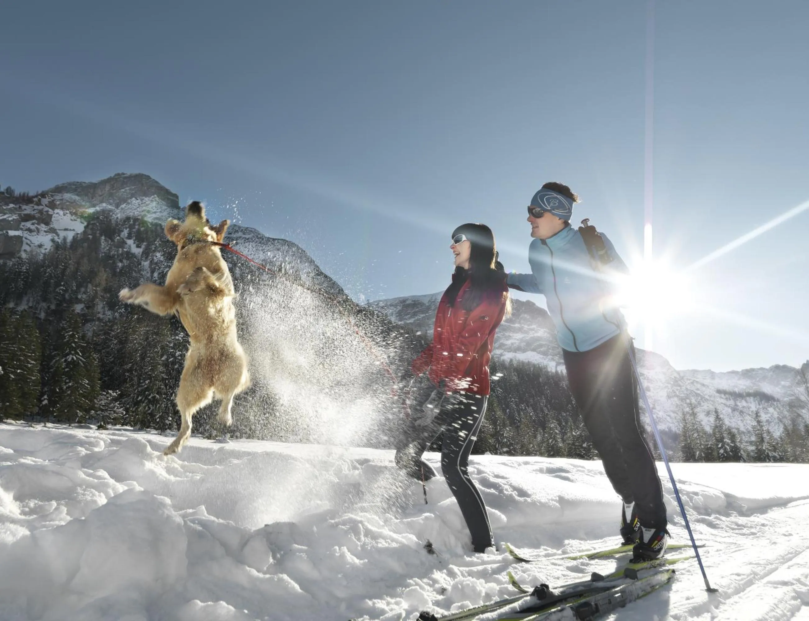 Pets in Apartmenthaus Gotthardt
