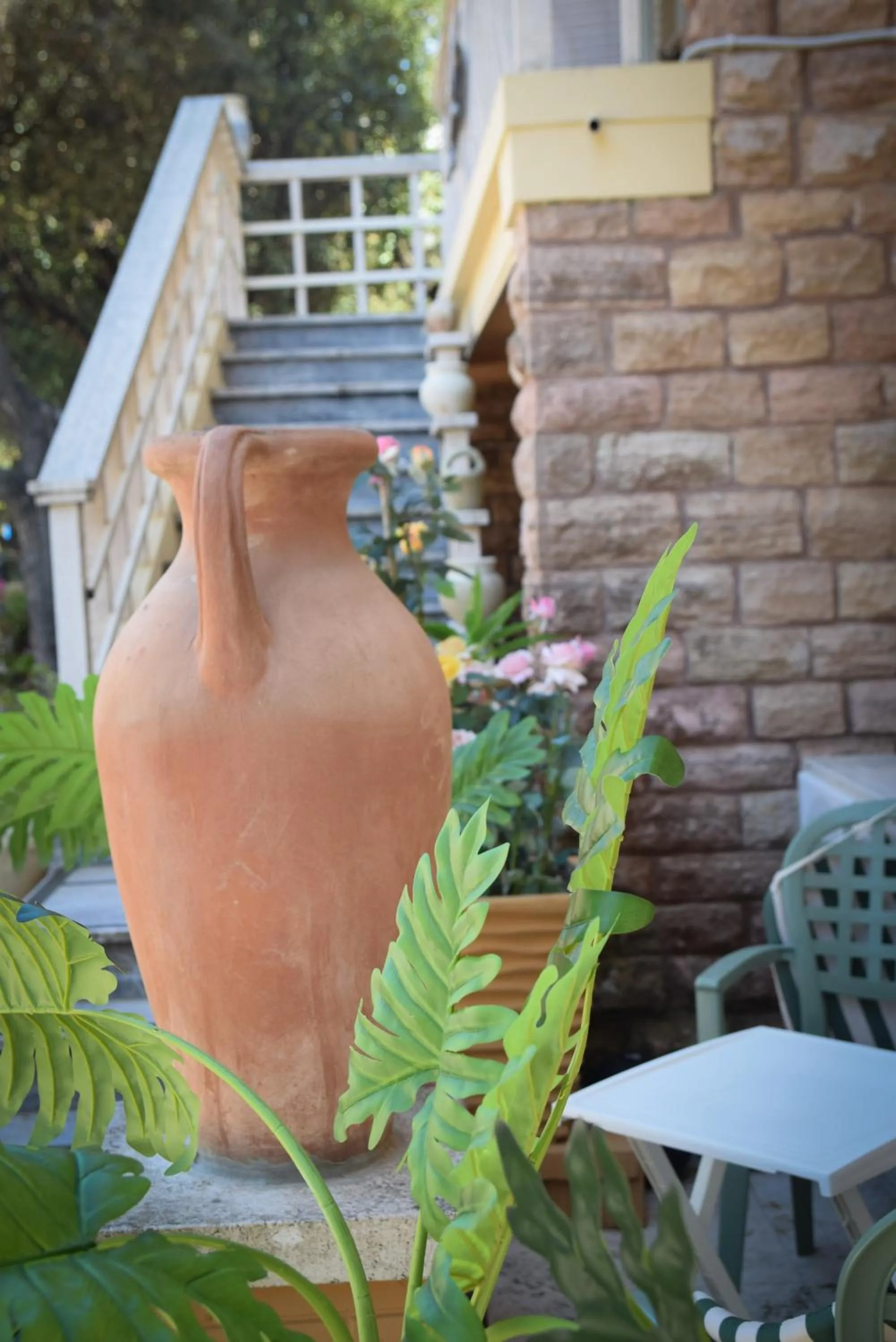 Garden in Hotel Villa Denia
