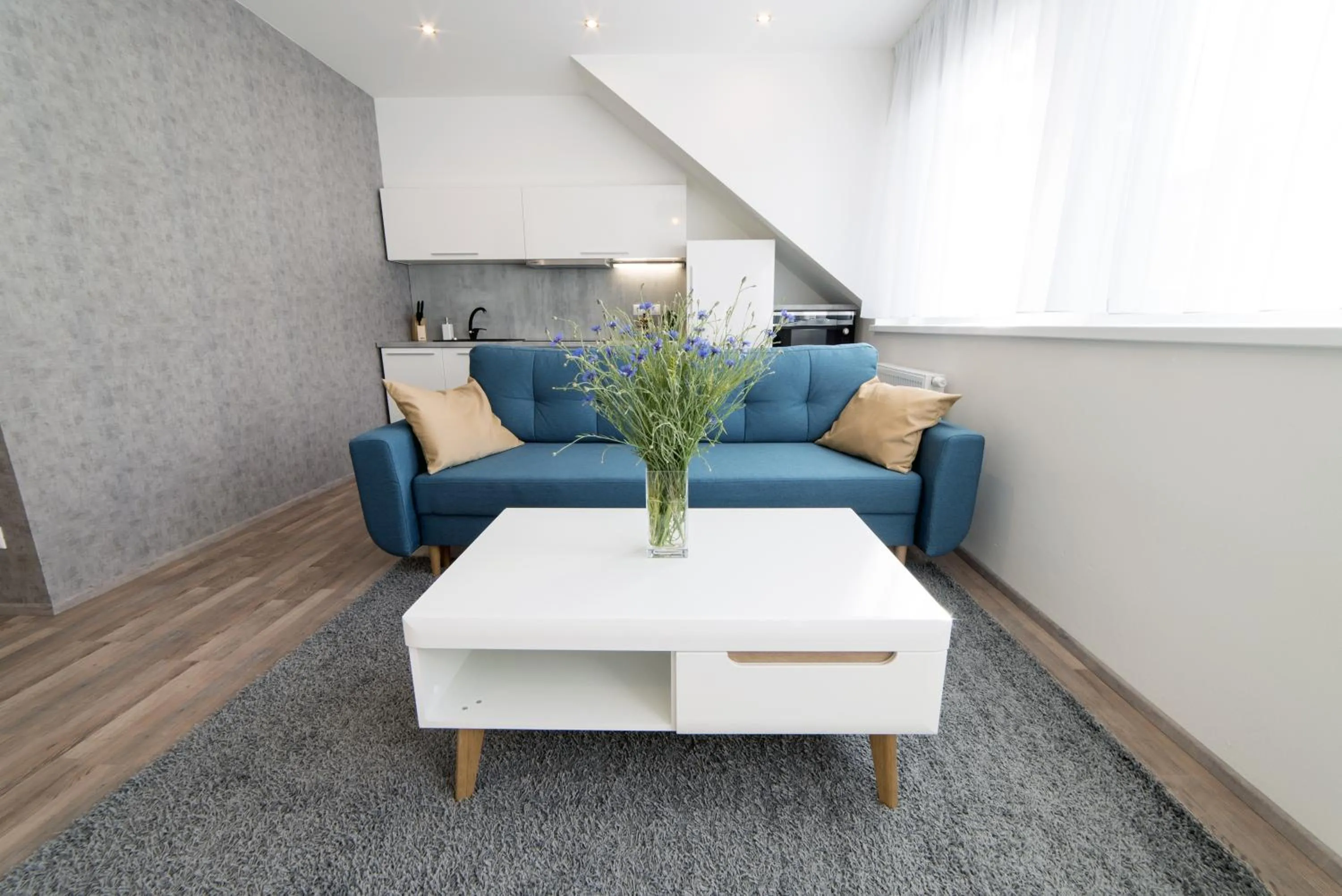 One-Bedroom Apartment in MyApartment in the city center