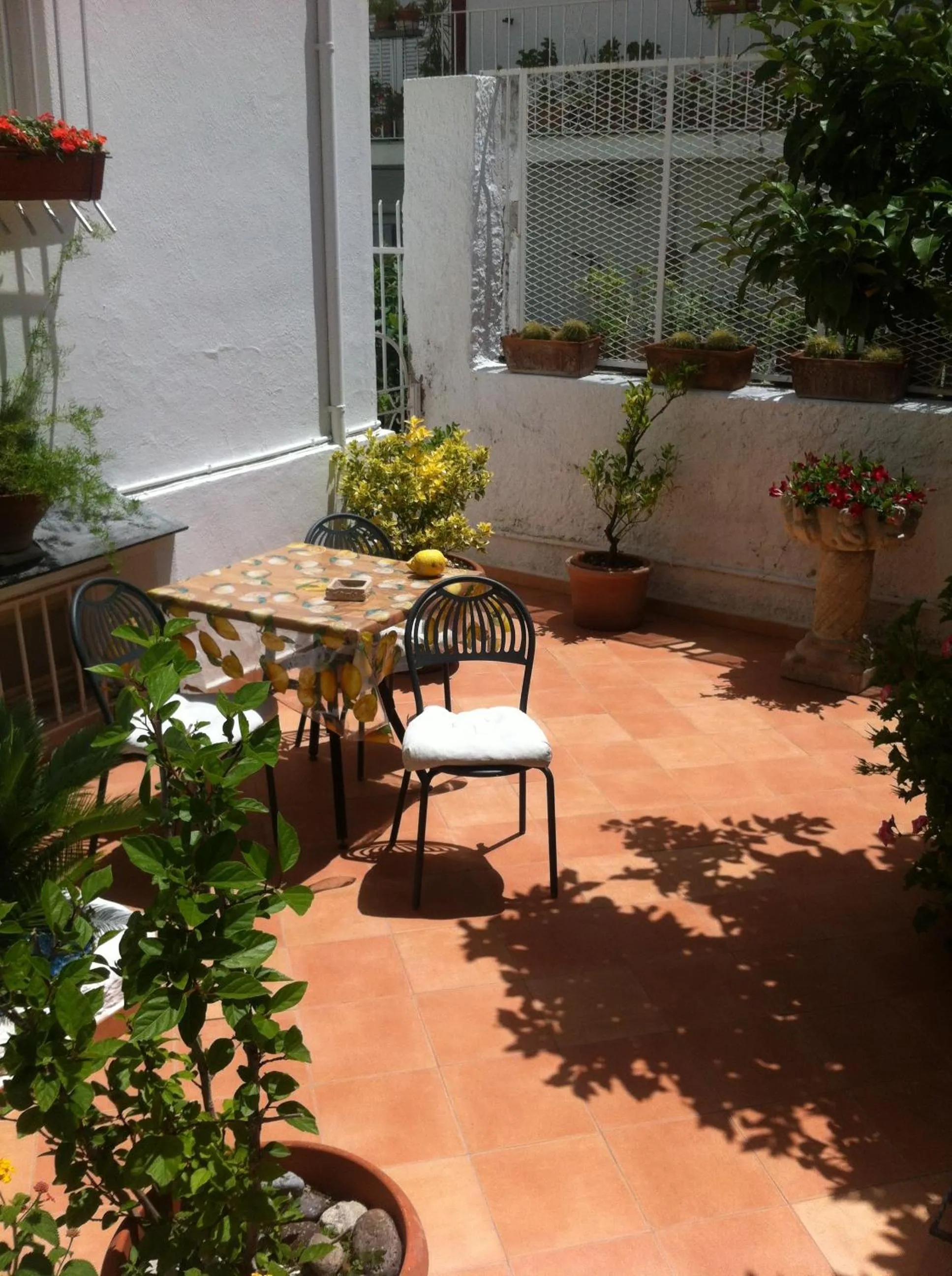 Patio in Excelsior Mare Suite