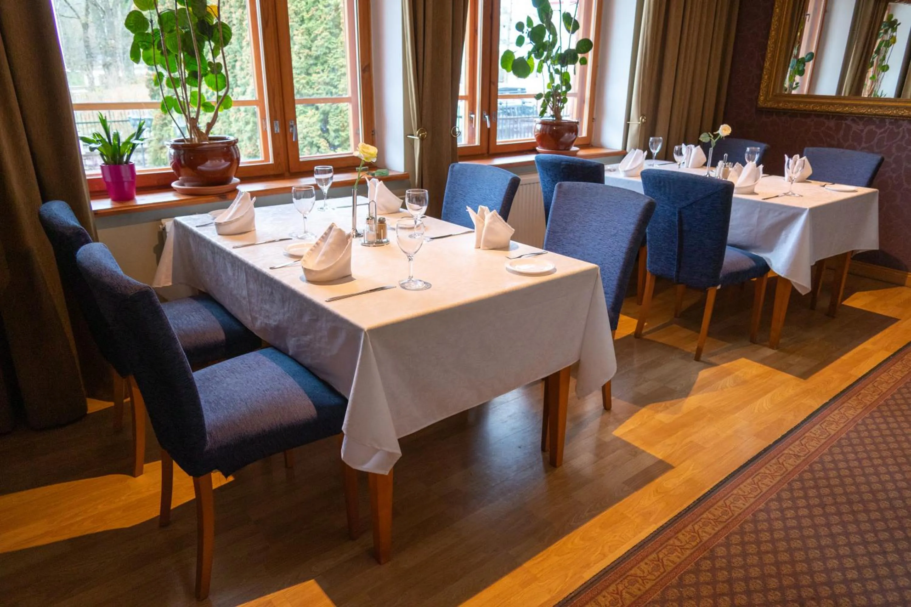 Restaurant/places to eat in Tähetorni Hotel