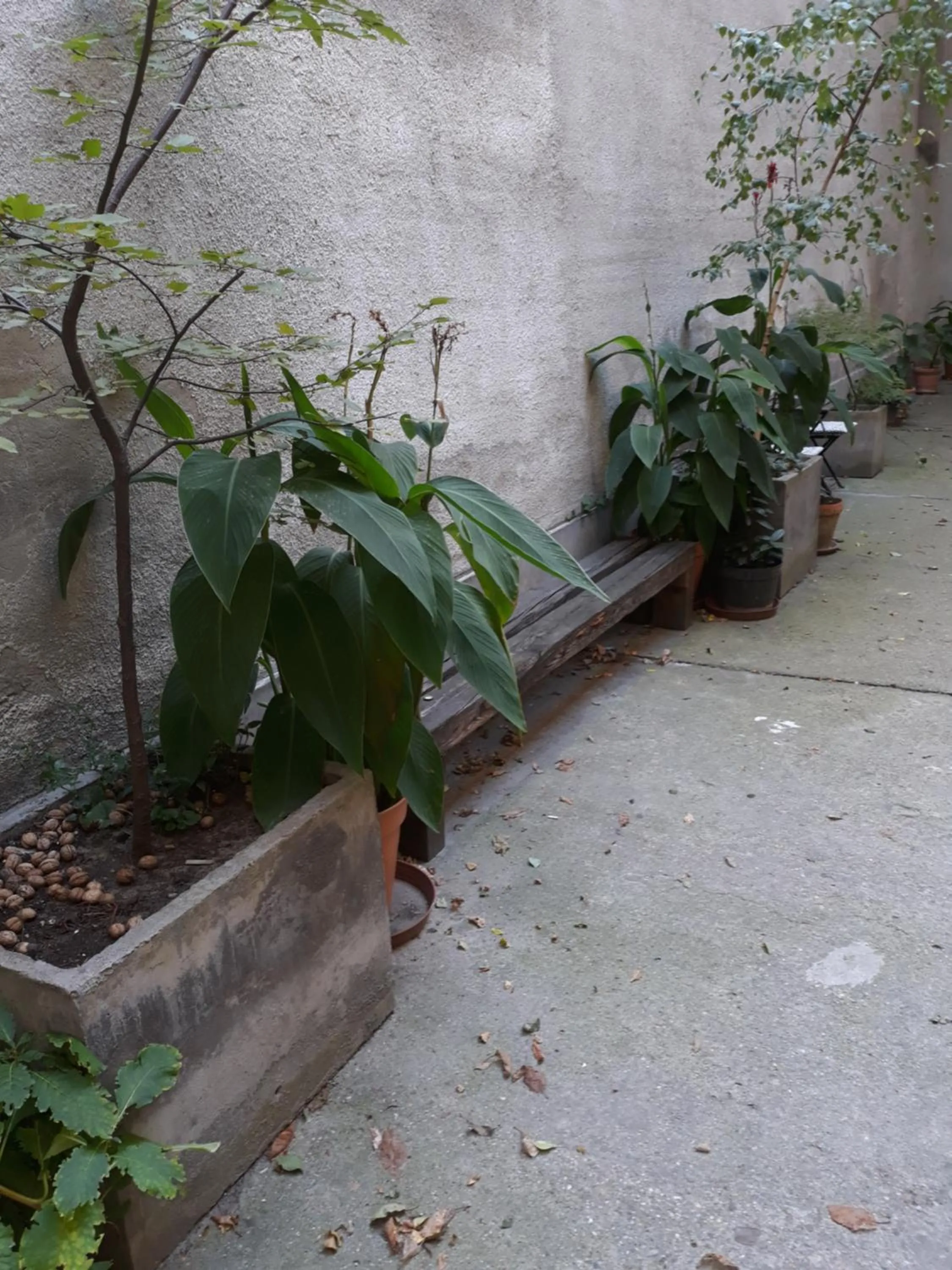 Garden in Connection Guesthouse