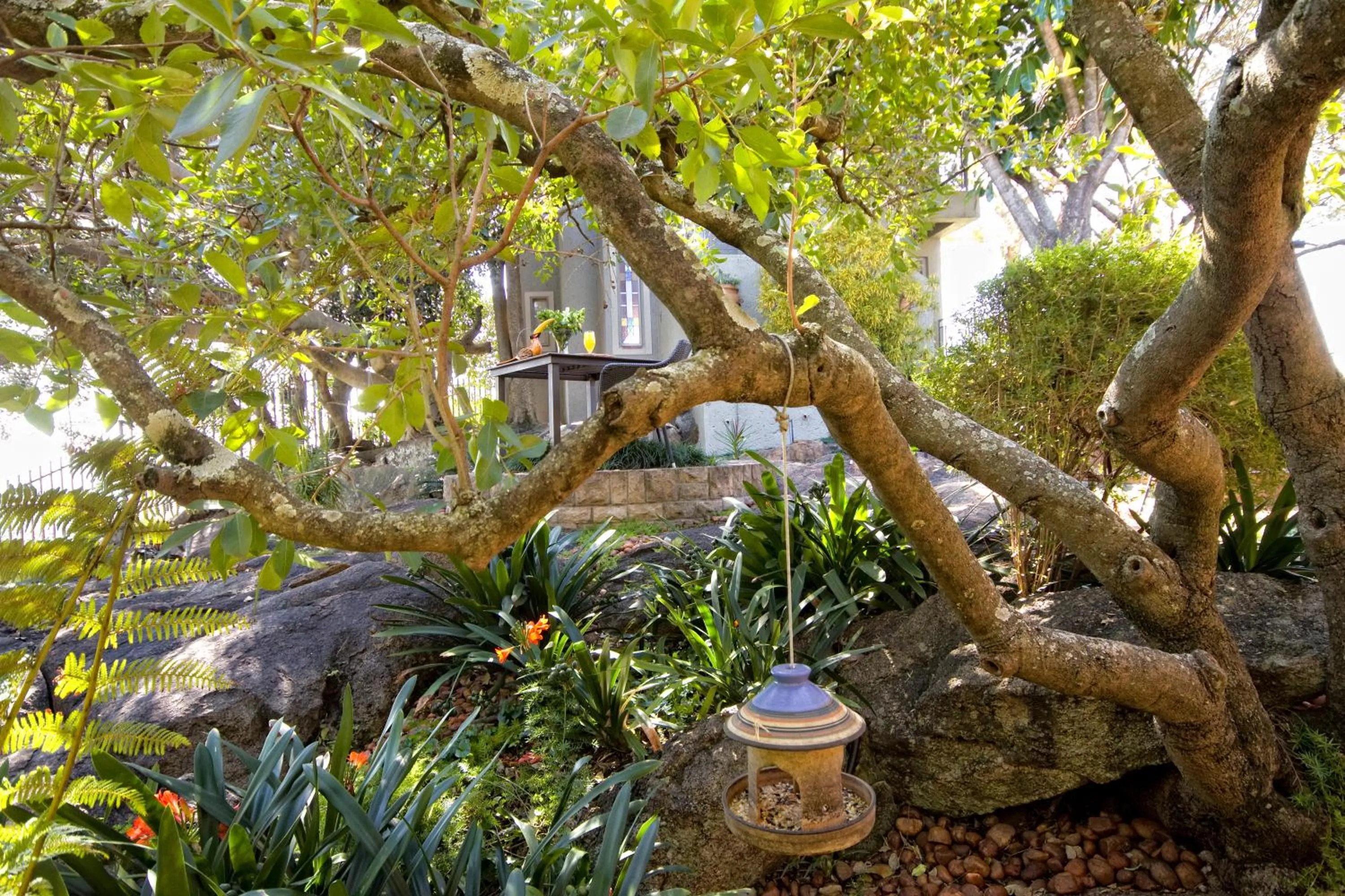 Facade/entrance in Loerie's Call Guesthouse