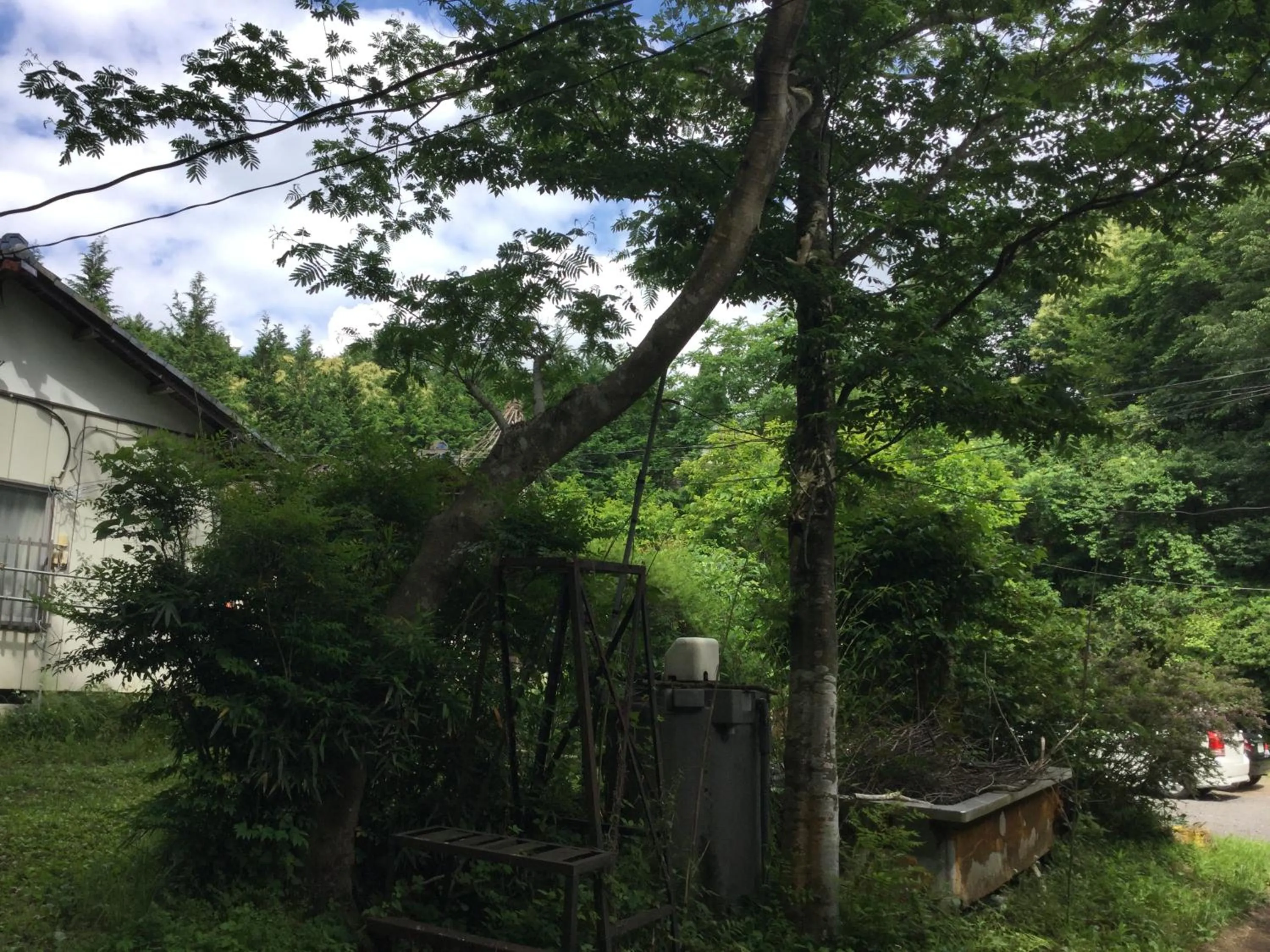 Property building in Bunbuku no yu