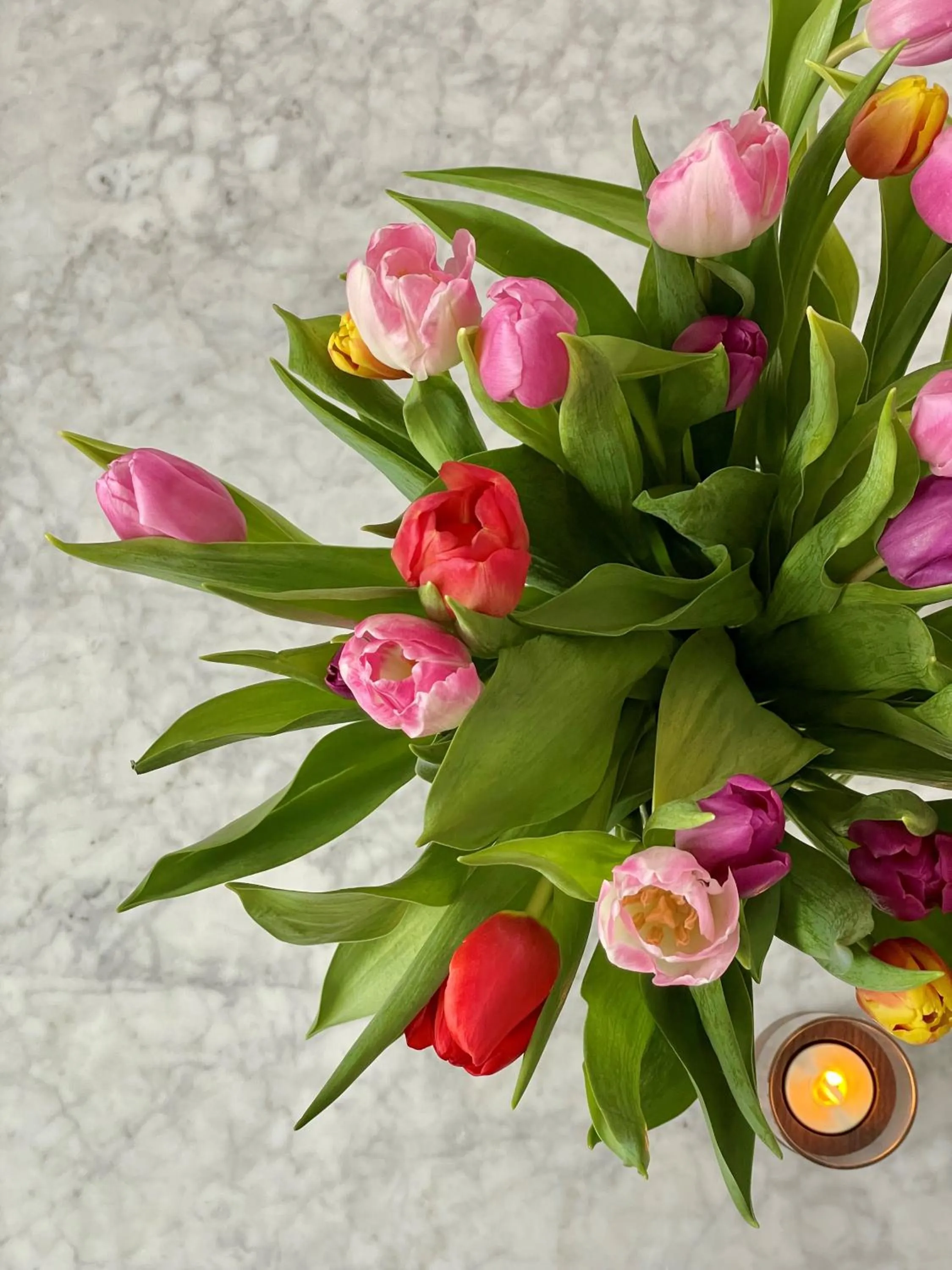 Spring in Hotell Villa Långbers