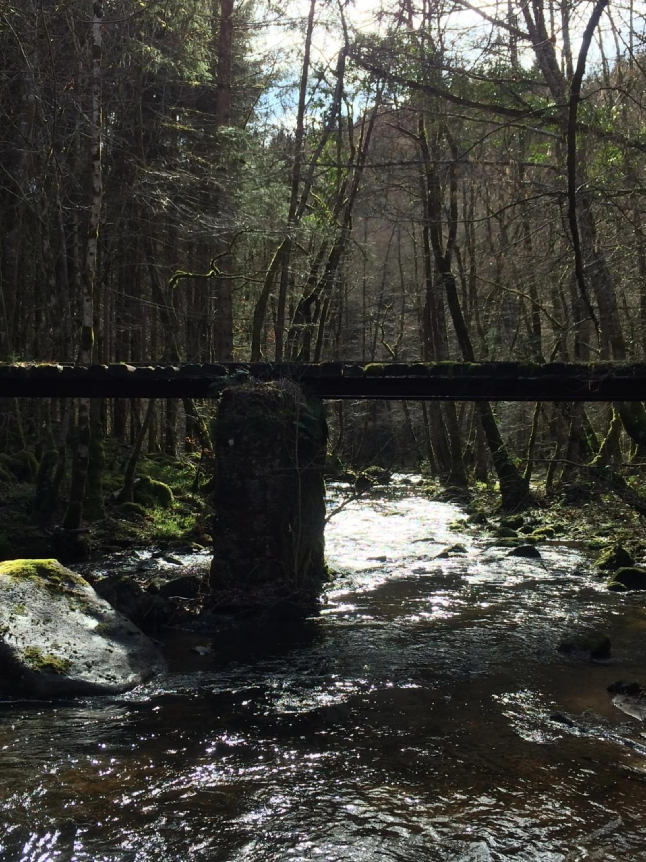 Off site in Logis Hotel du Lac