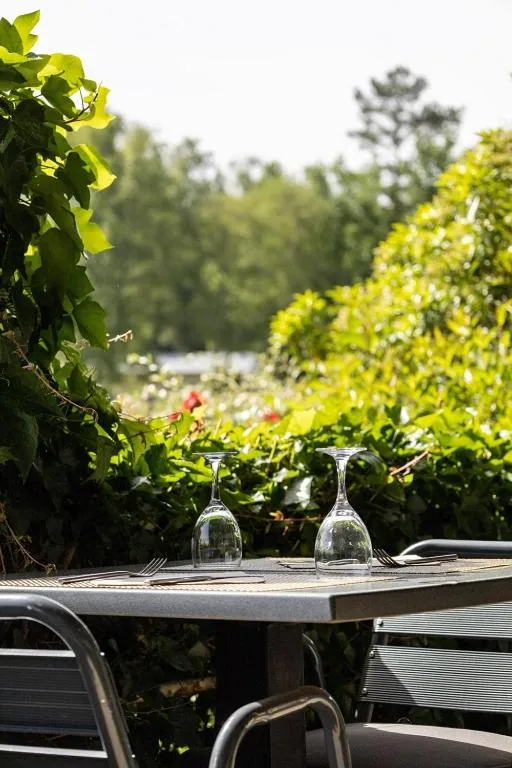 Balcony/Terrace in Logis Hotel du Lac