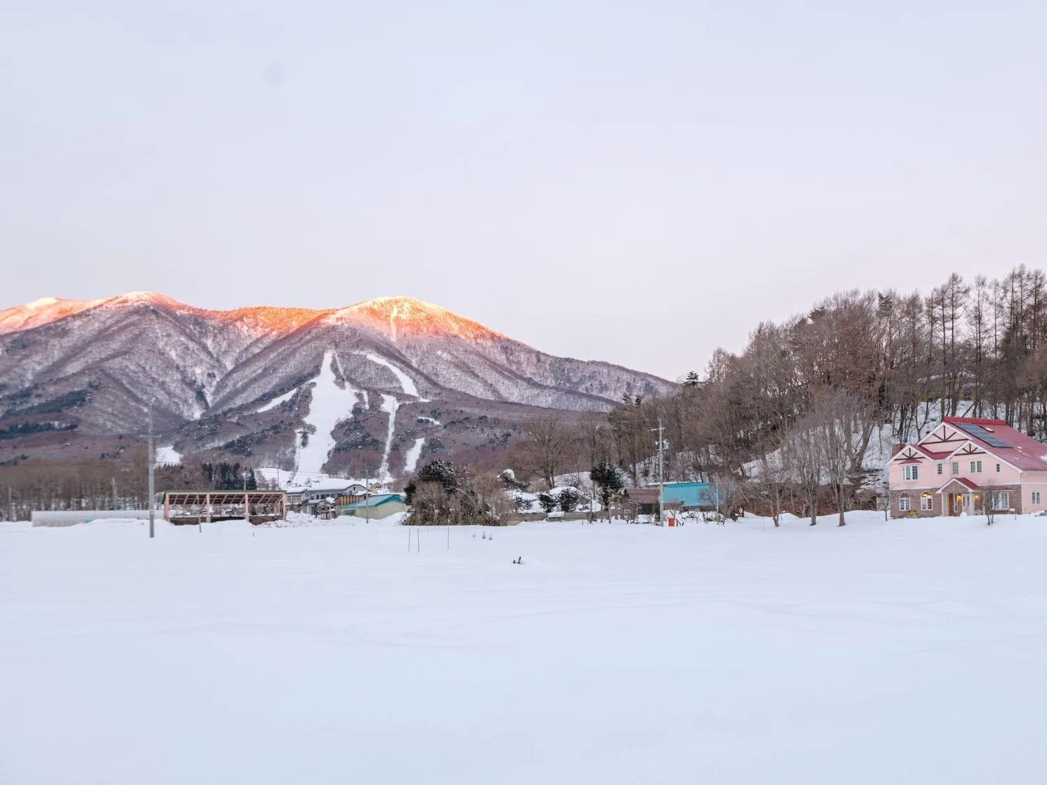 Winter in Pension Himawari