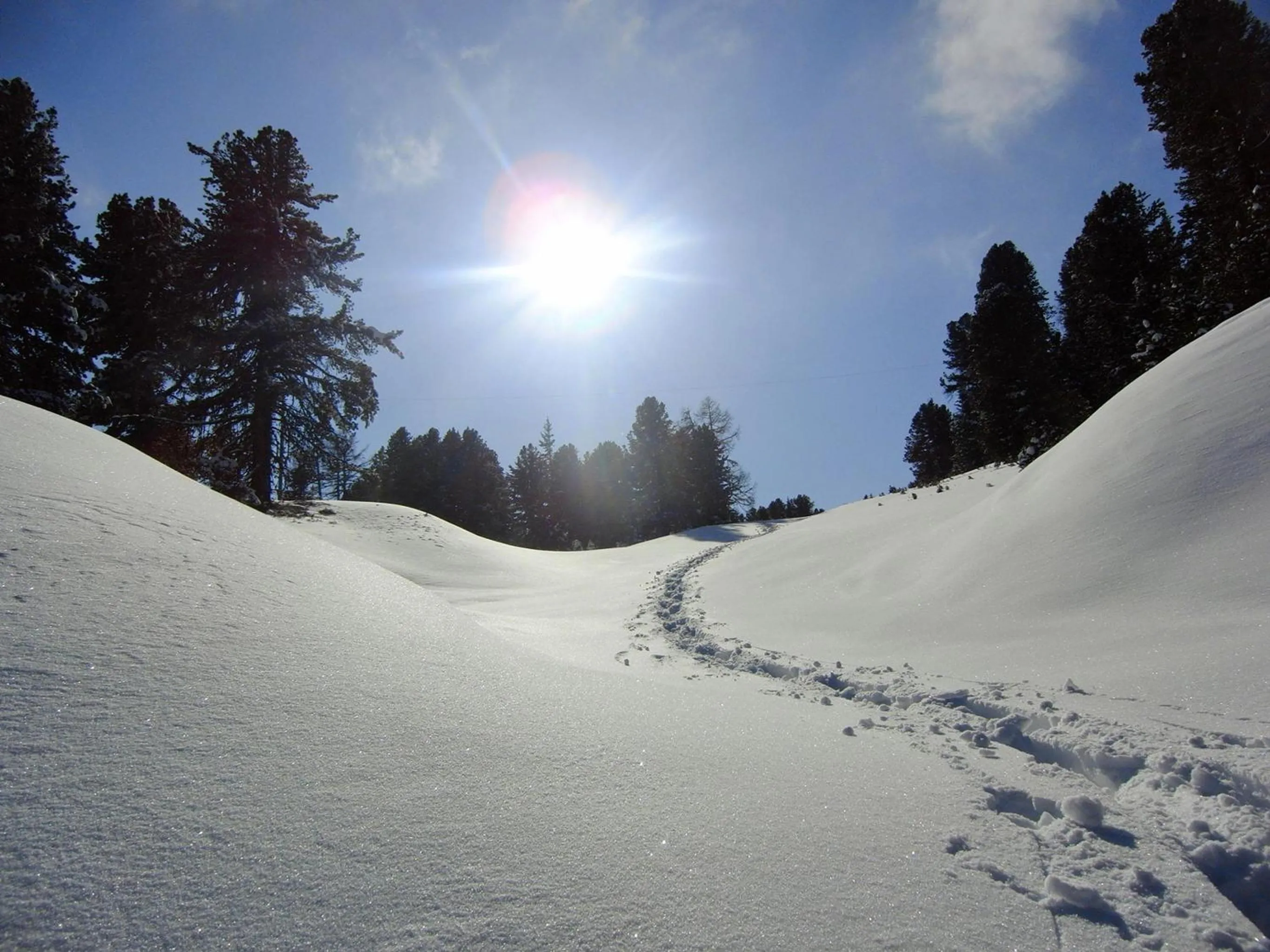 Winter in Pension Maria