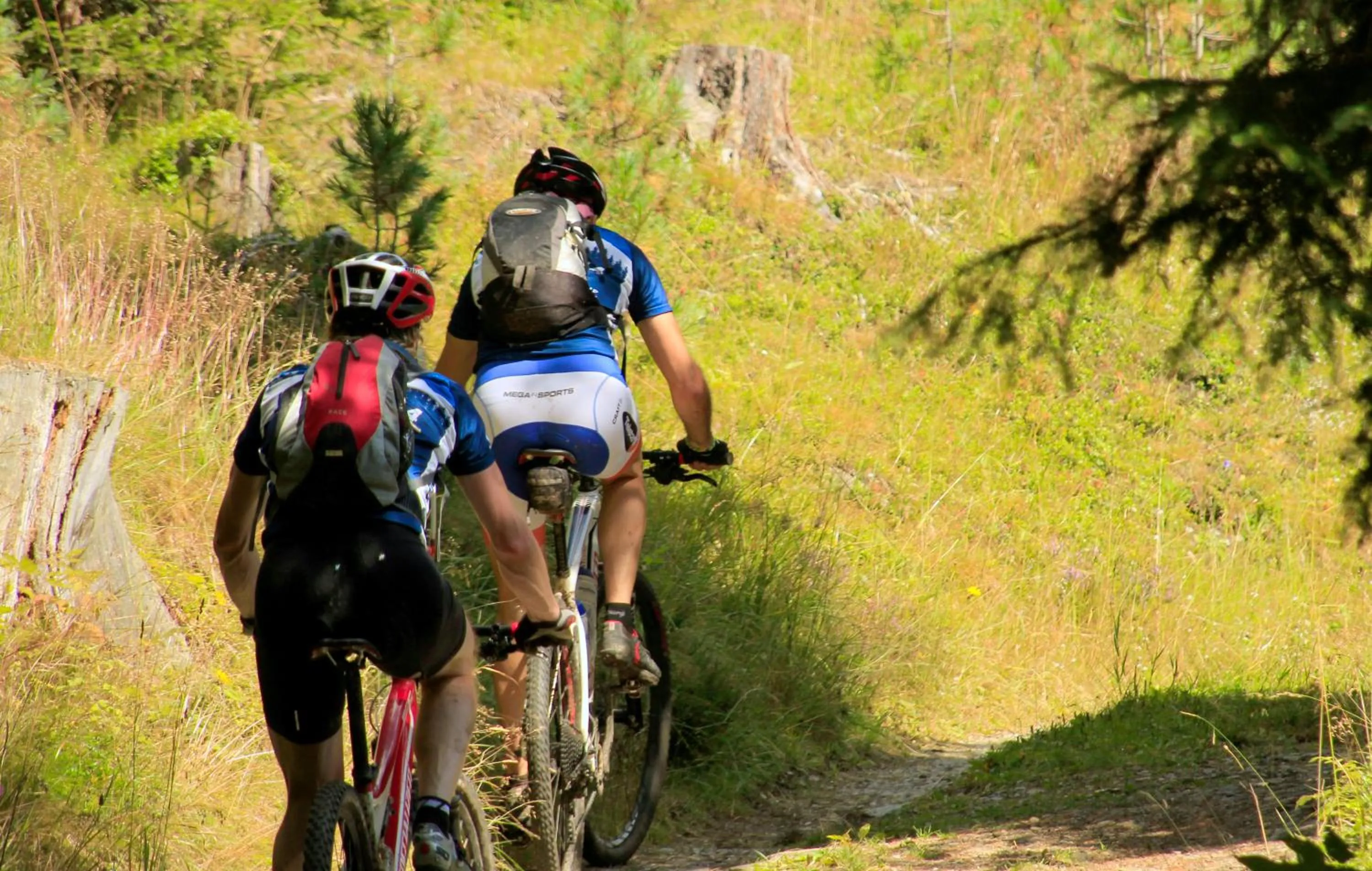 Cycling in Pension Maria