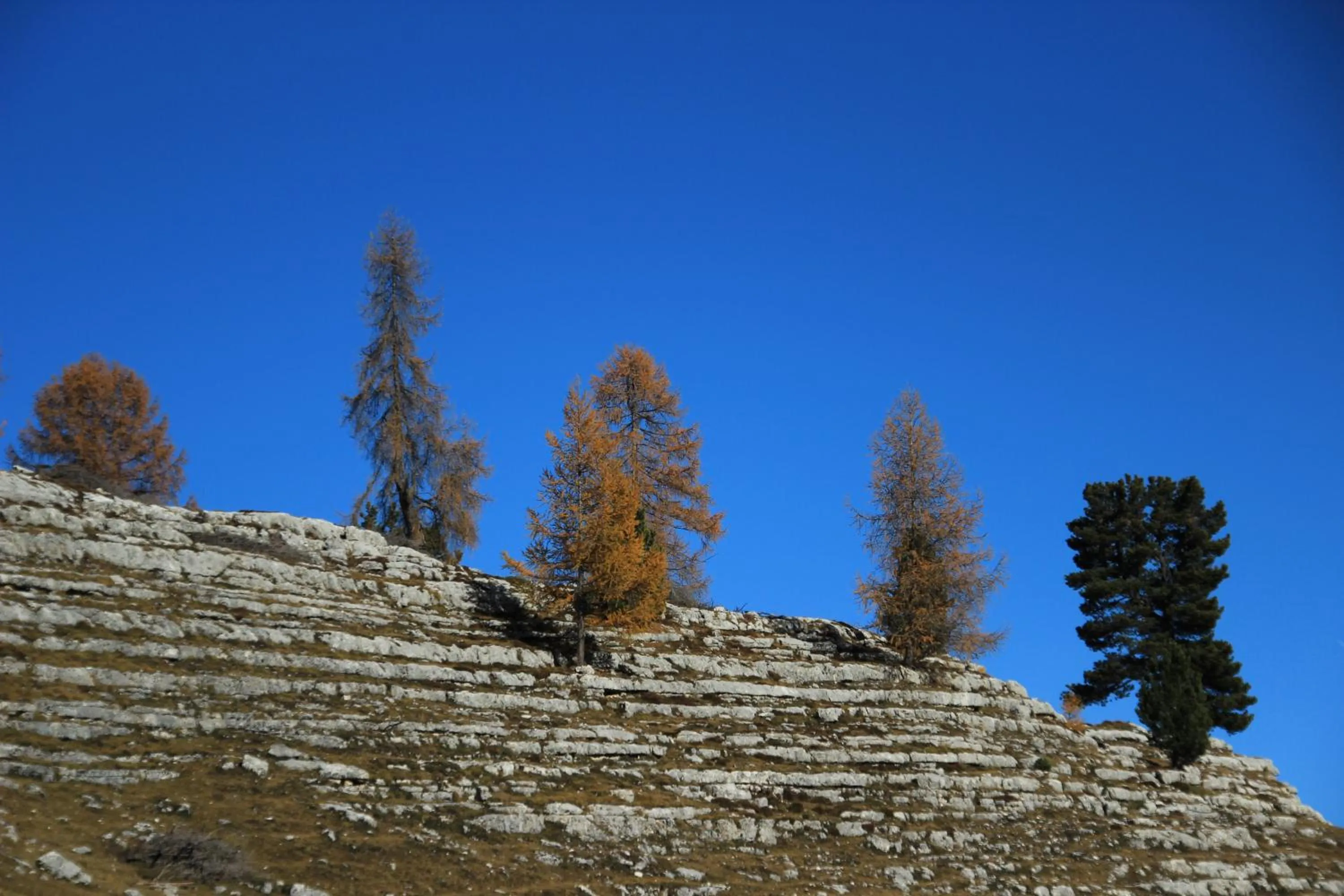 Autumn in Pension Maria