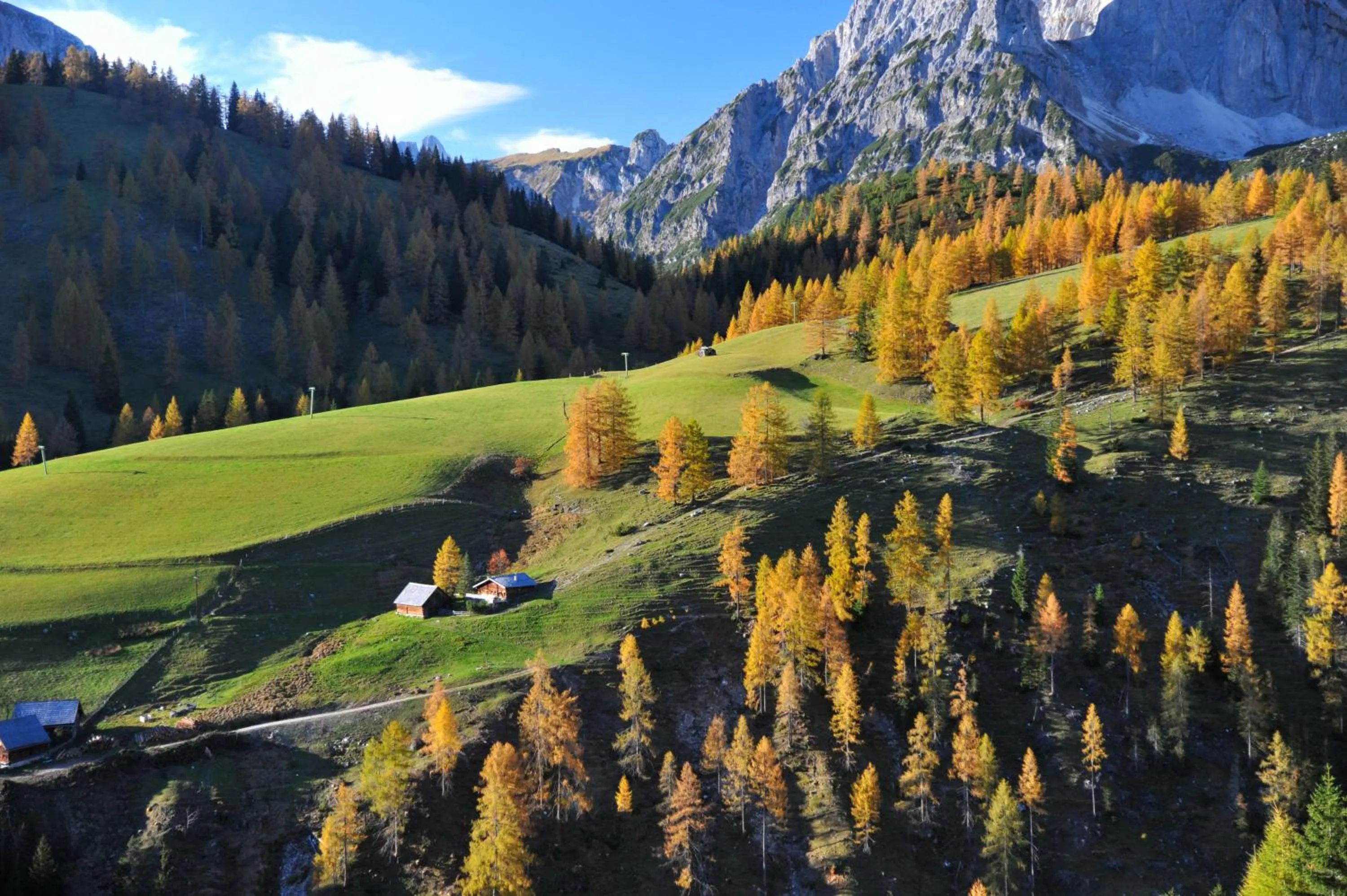 Natural landscape in Landhaus & Ferienwohnungen Bergrast