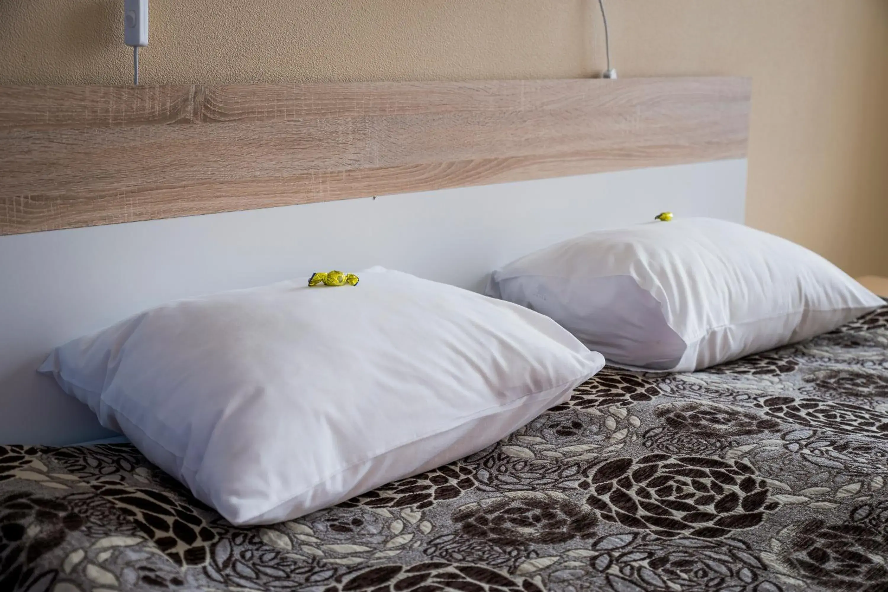 Standard Twin or Double Room in Hotell Tamula Standard Twin or Double Room in Hotell Tamula