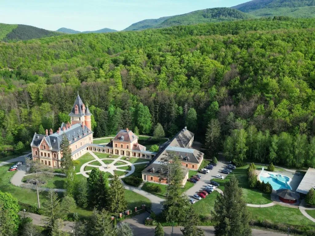 Kastélyhotel Sasvár Resort