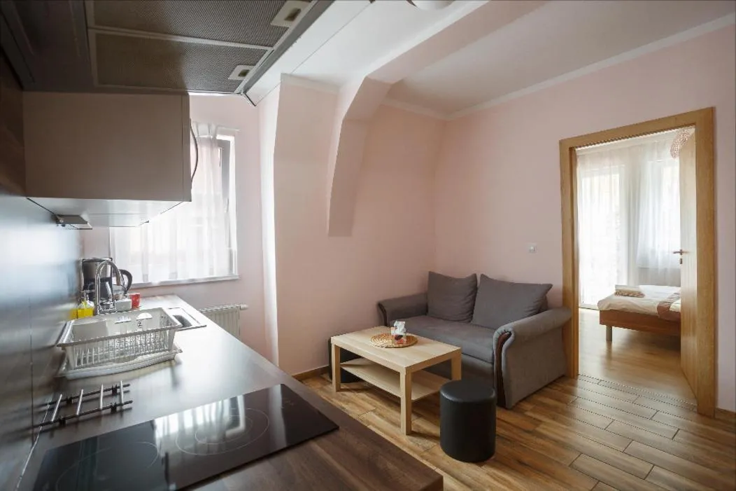 Kitchen or kitchenette in Diana Apartments Karlovy Vary