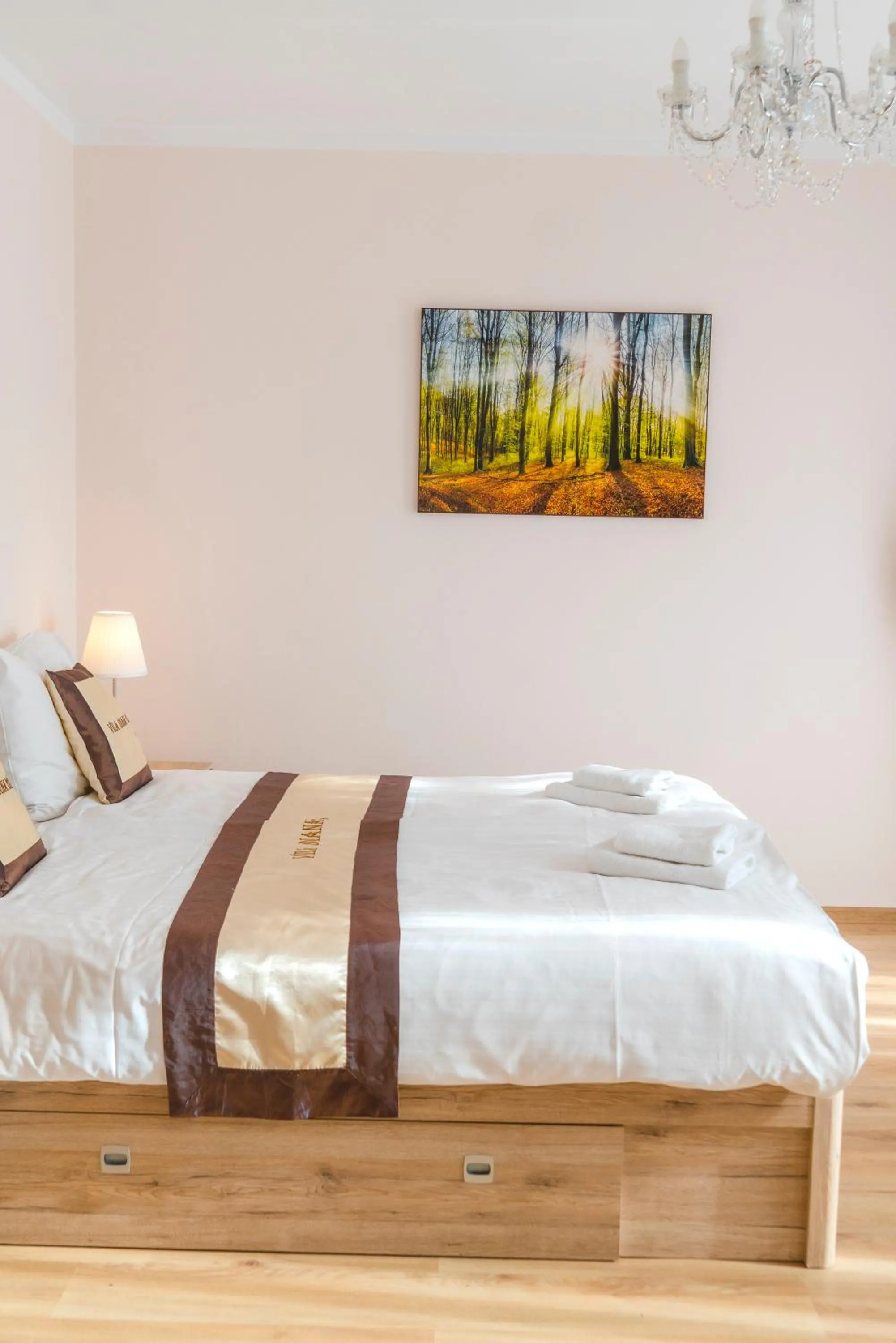 Bed in Diana Apartments Karlovy Vary