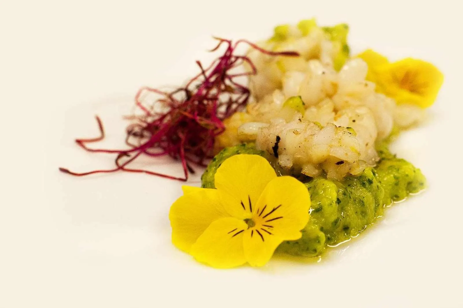 Restaurant/places to eat in Almanuda Naturist Village