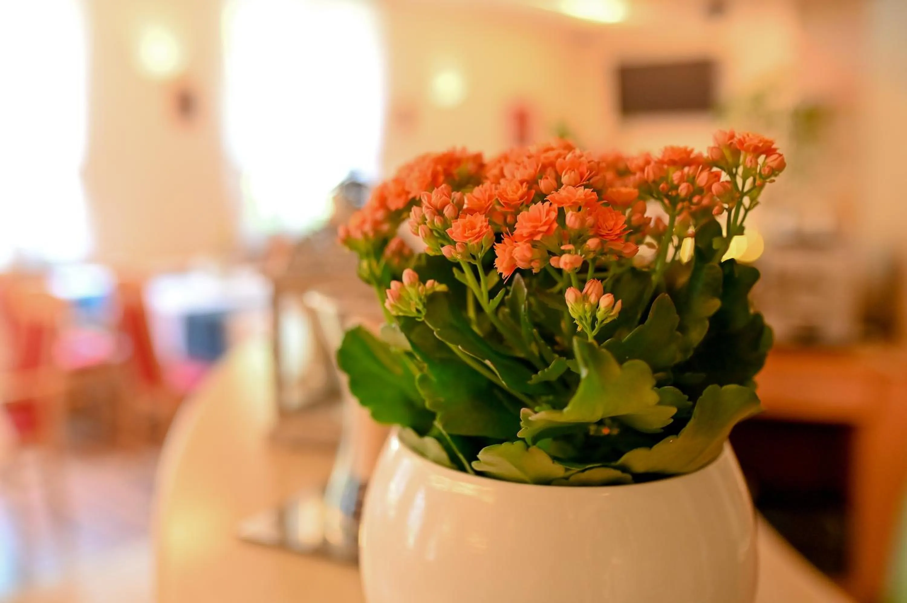 Restaurant/places to eat in Delta In