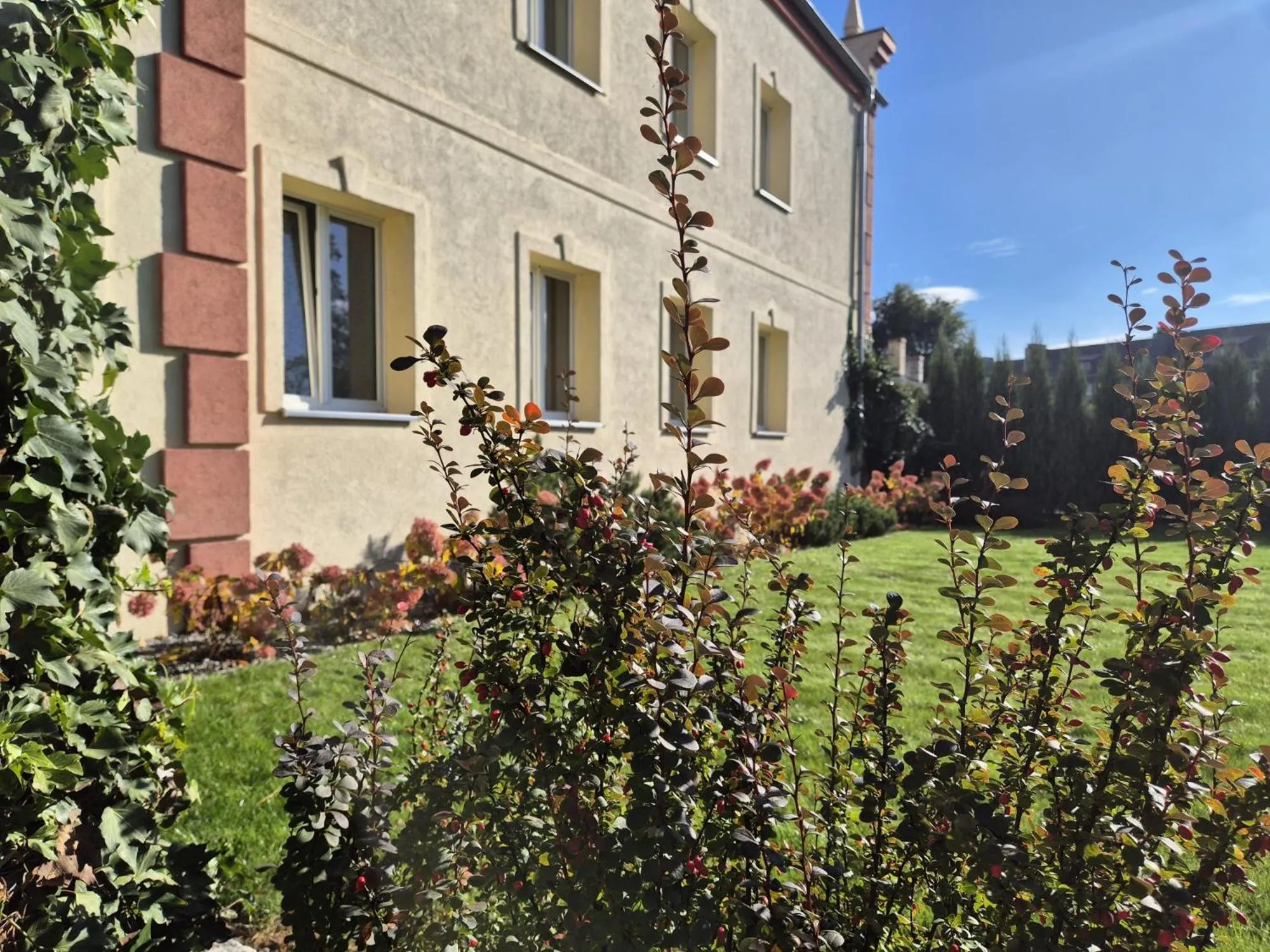 Property building in Delta In