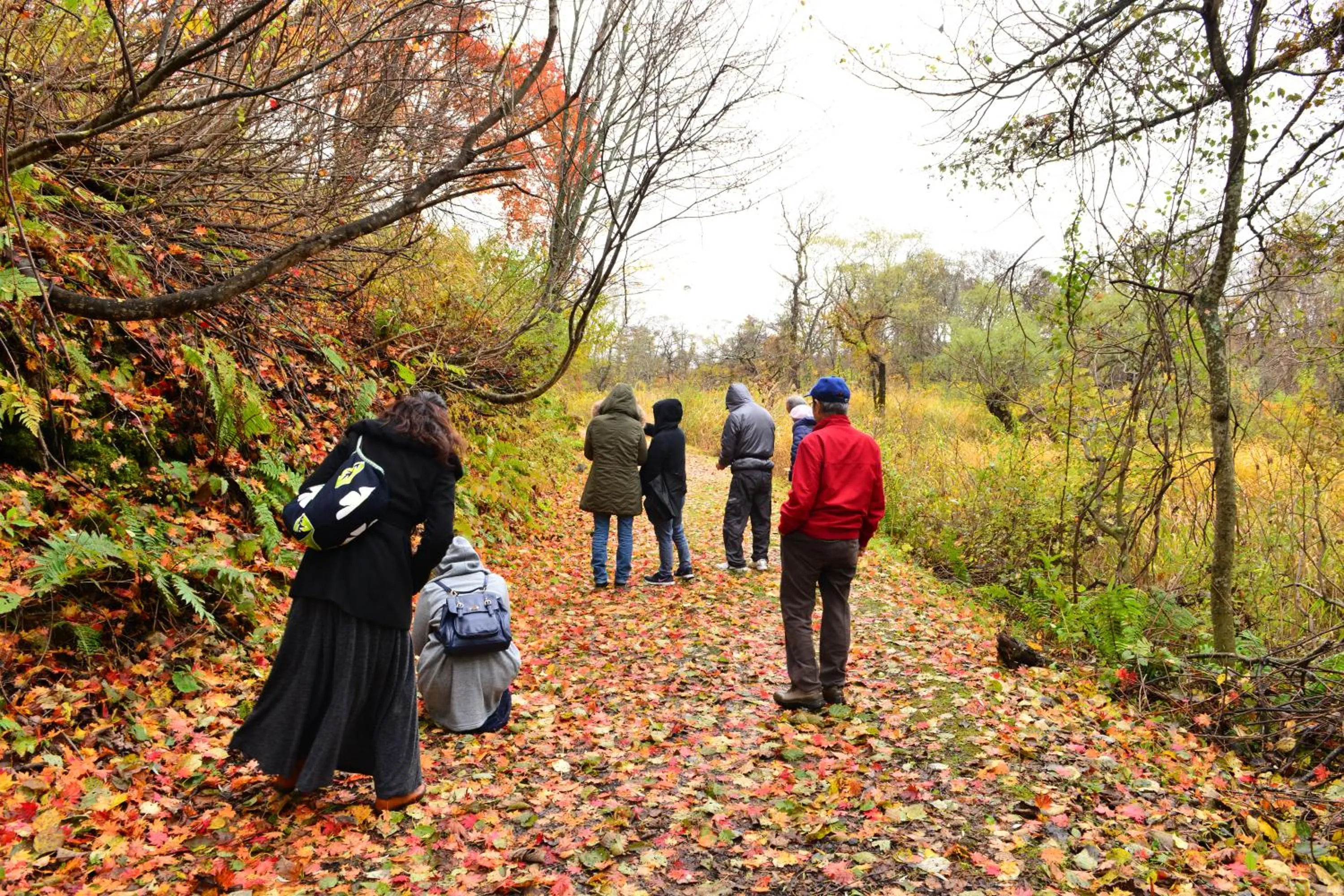 Country Inn Mori no Gorilla