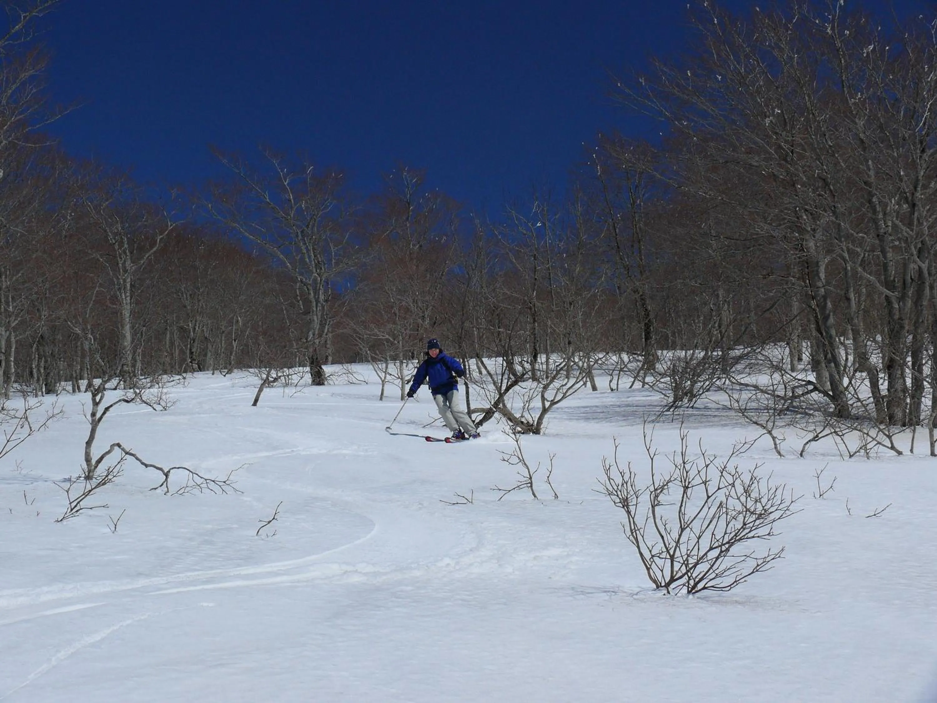 Country Inn Mori no Gorilla