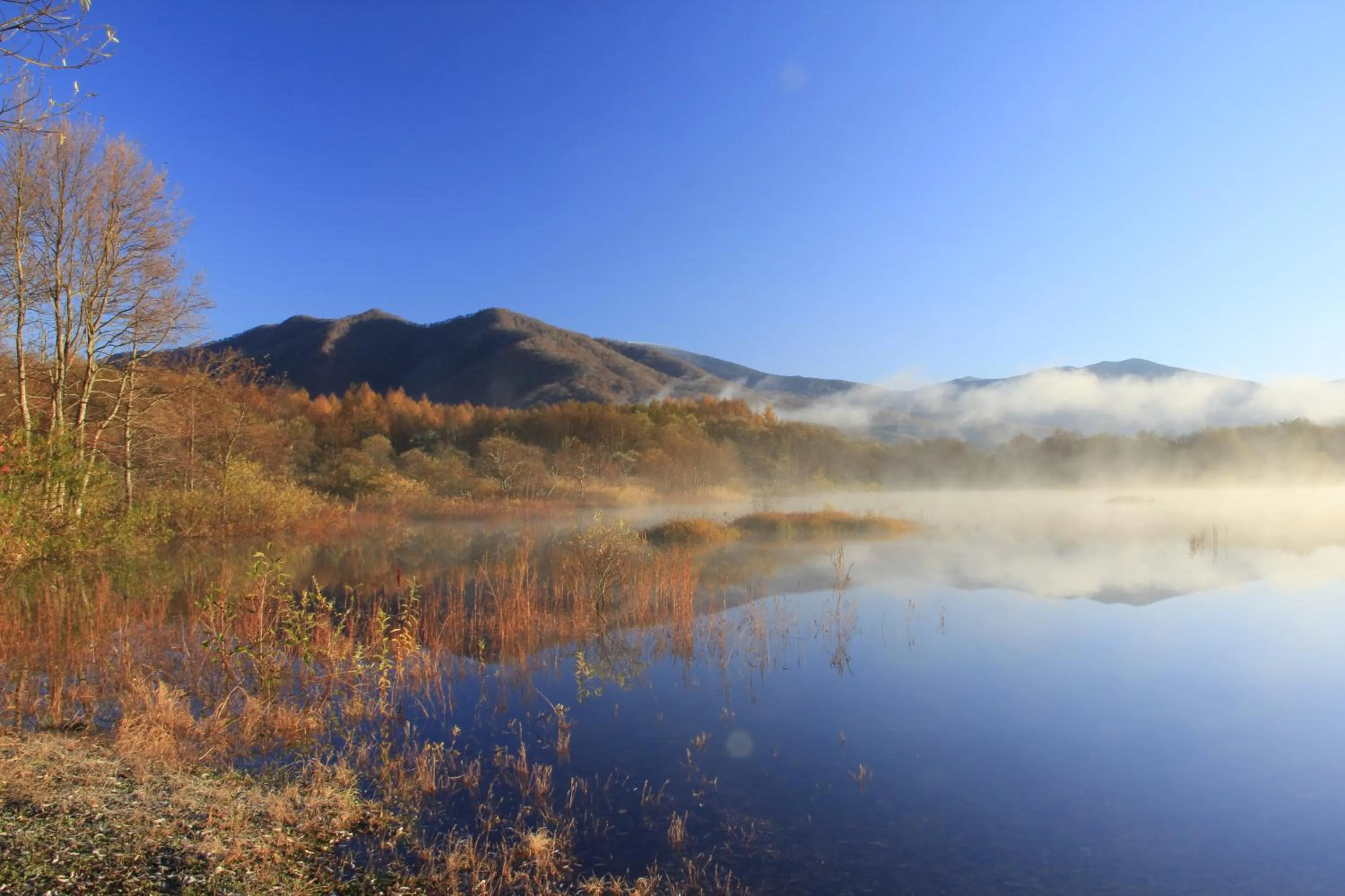 Country Inn Mori no Gorilla