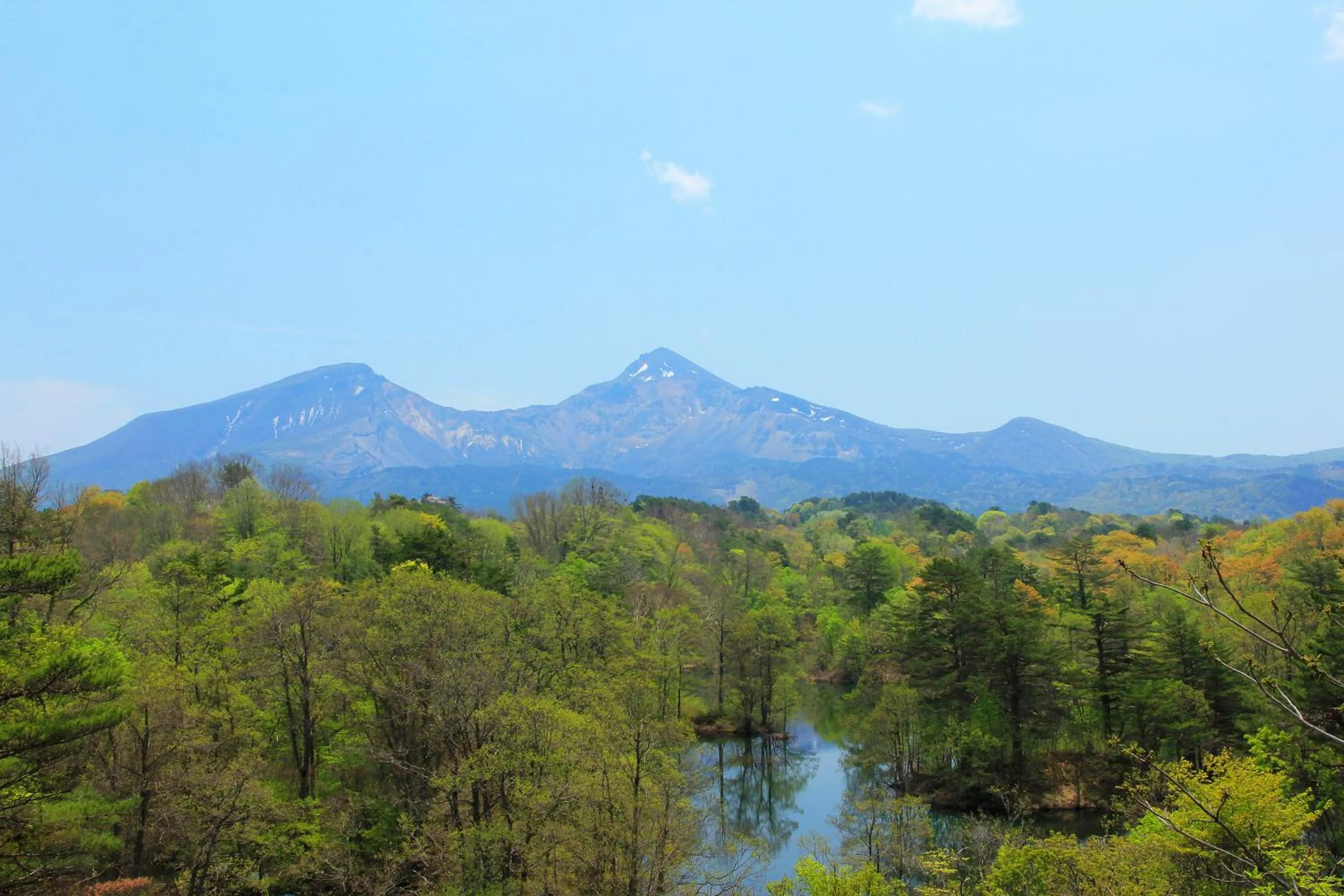 Country Inn Mori no Gorilla