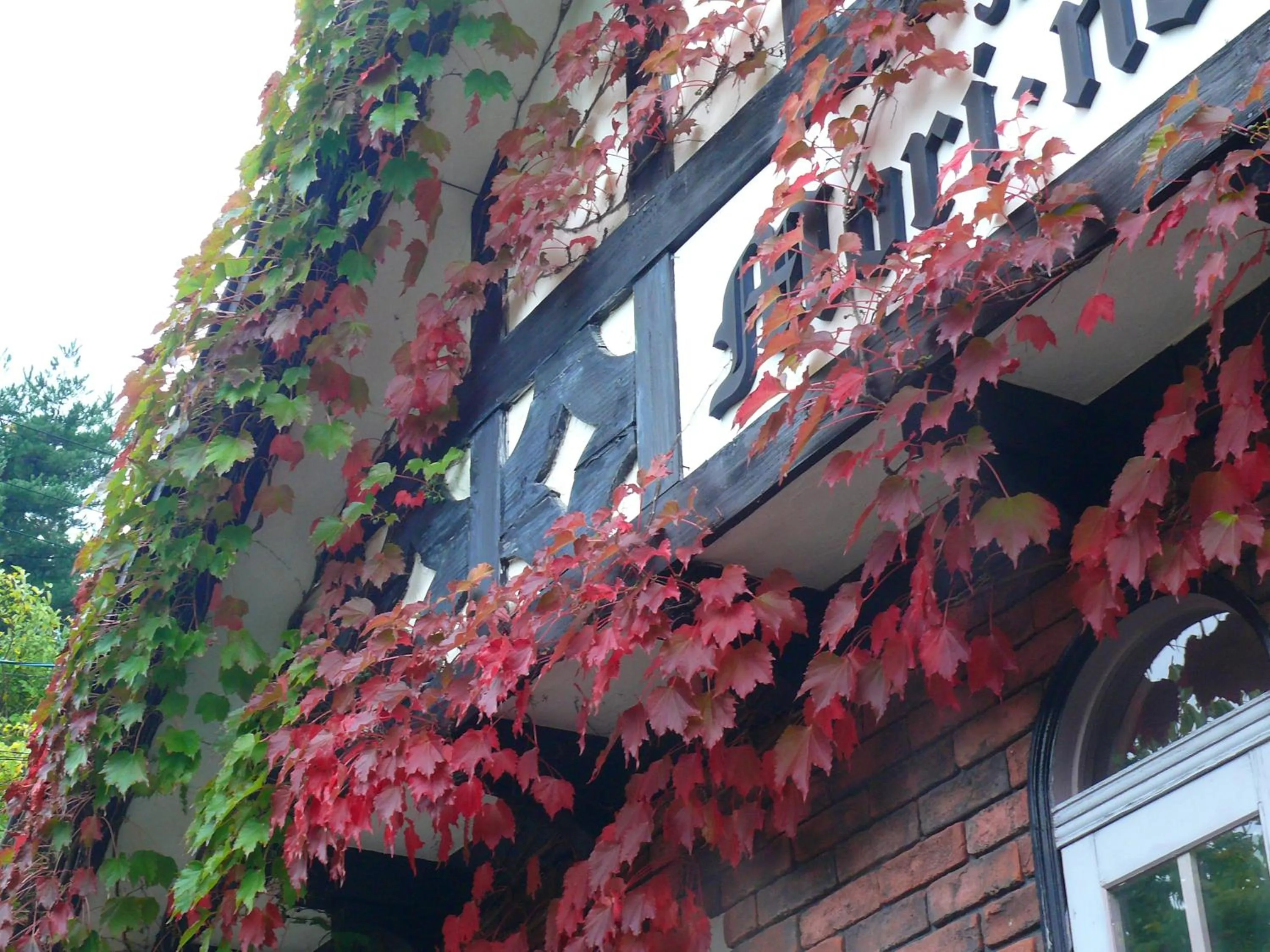 Country Inn Mori no Gorilla