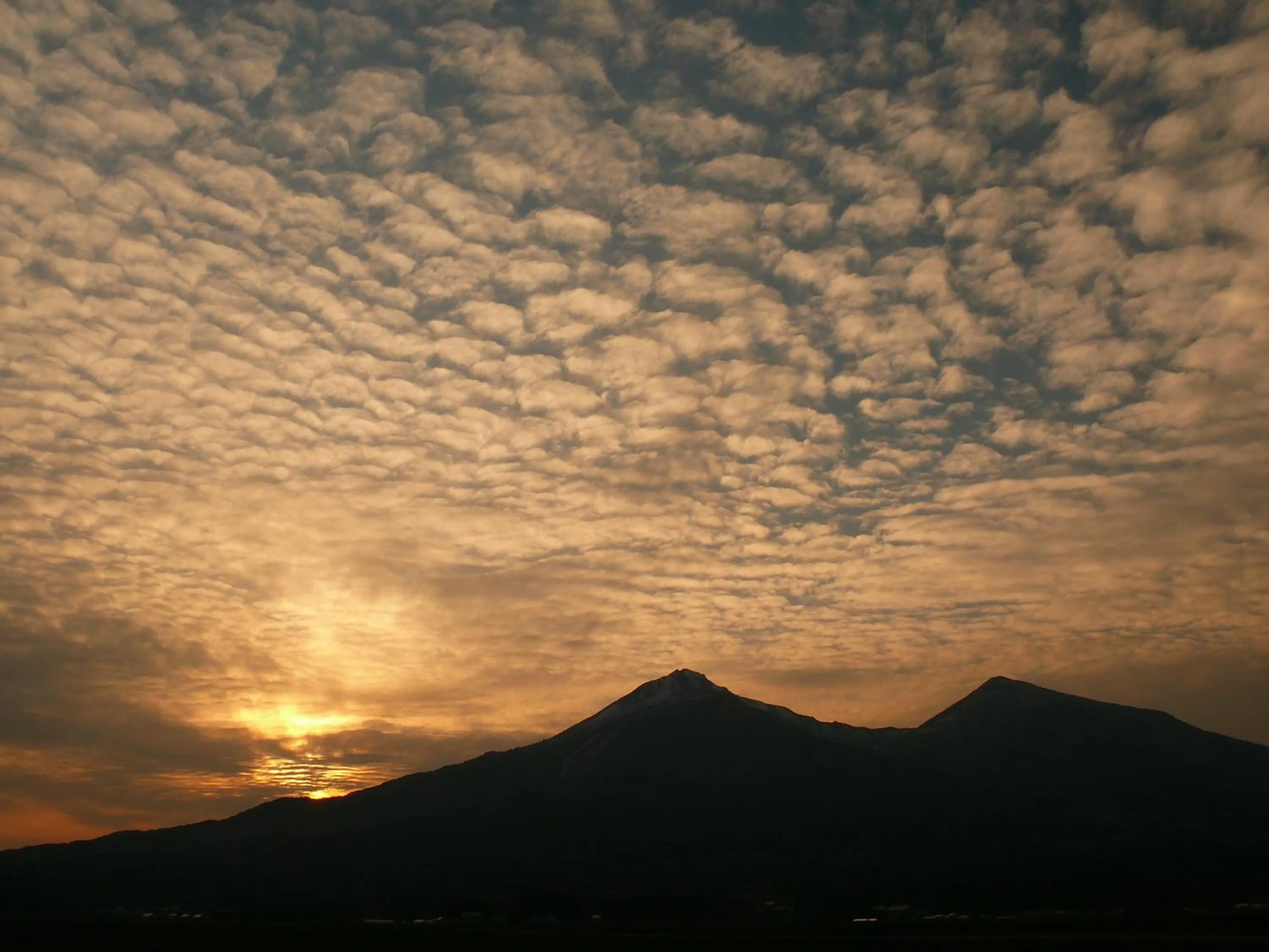 Country Inn Mori no Gorilla