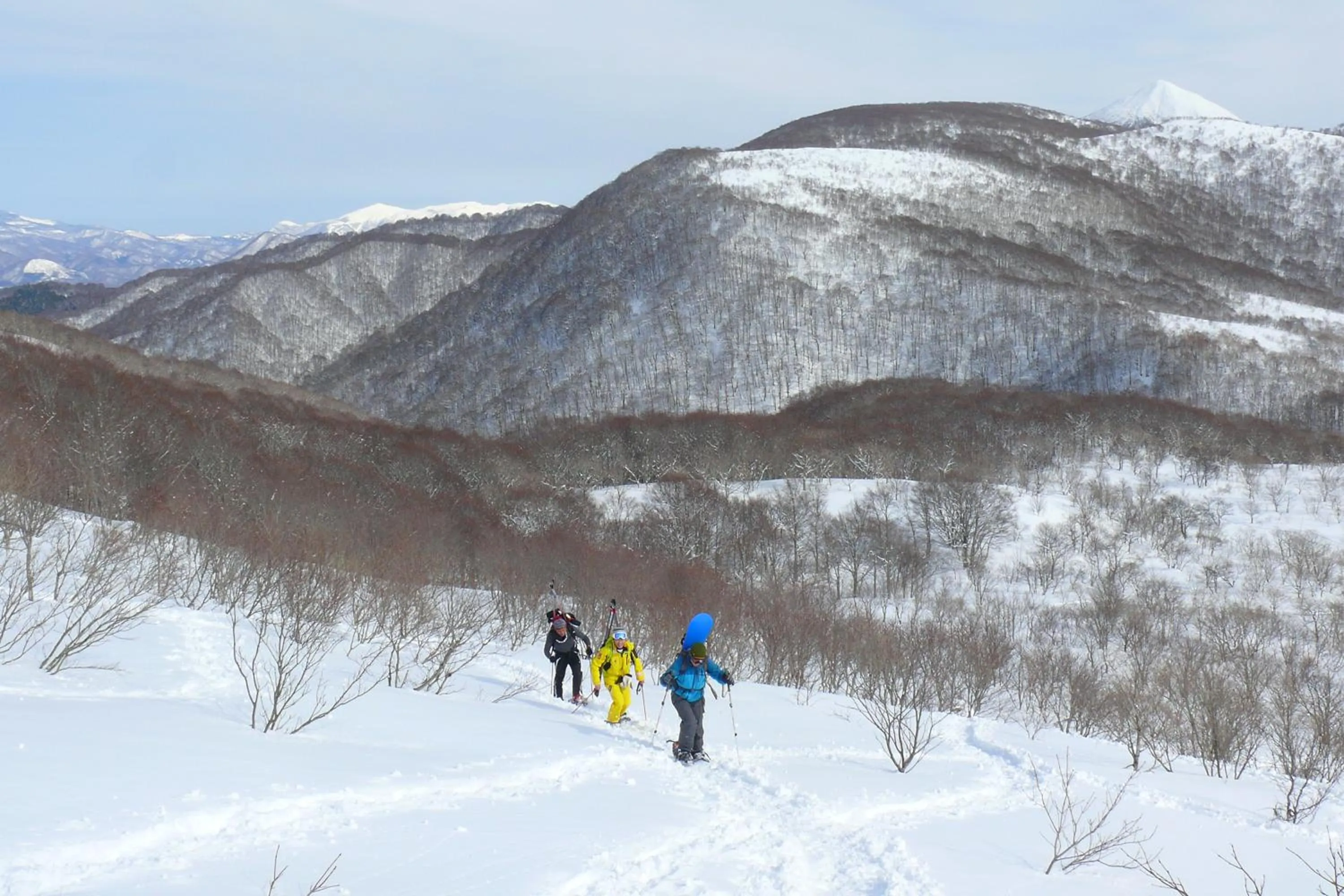 Country Inn Mori no Gorilla