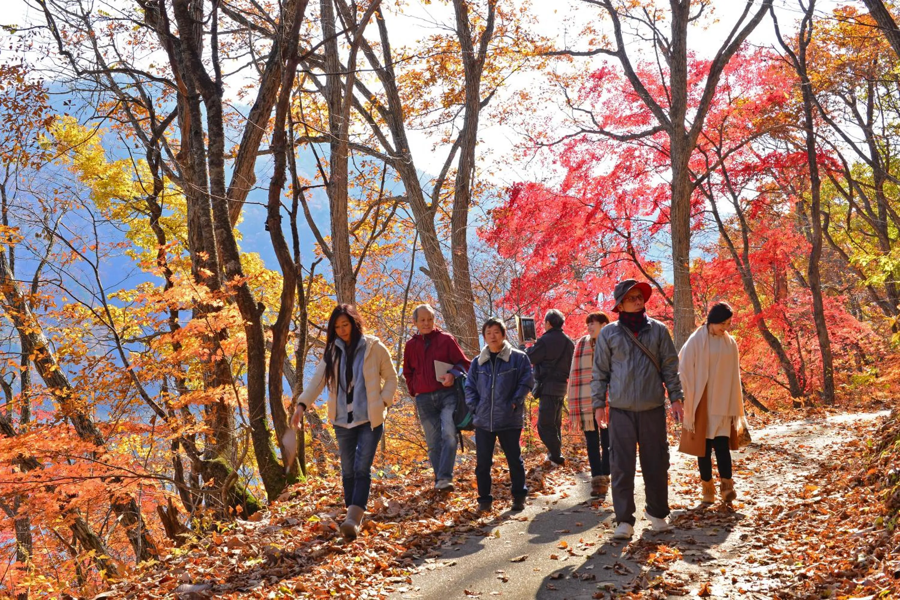 Country Inn Mori no Gorilla