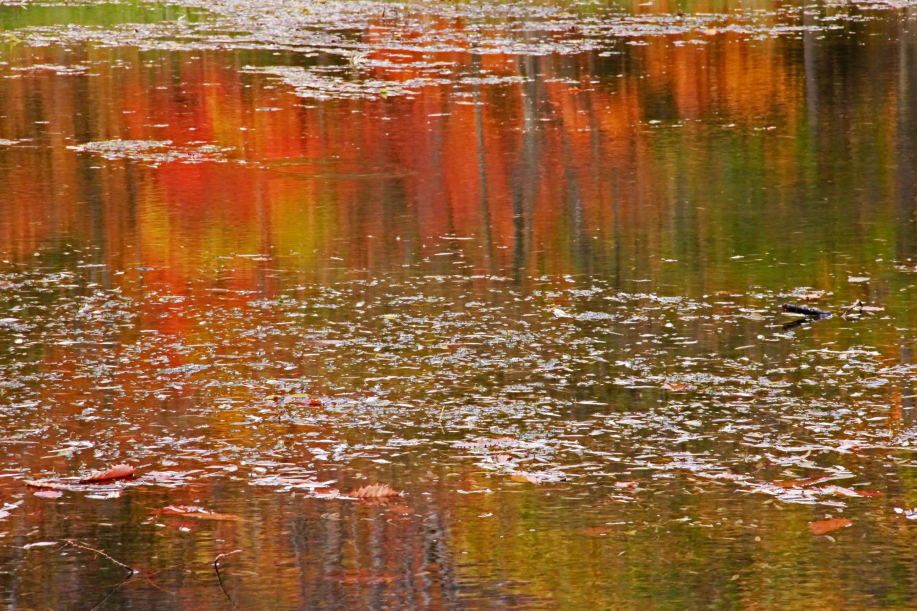 Country Inn Mori no Gorilla