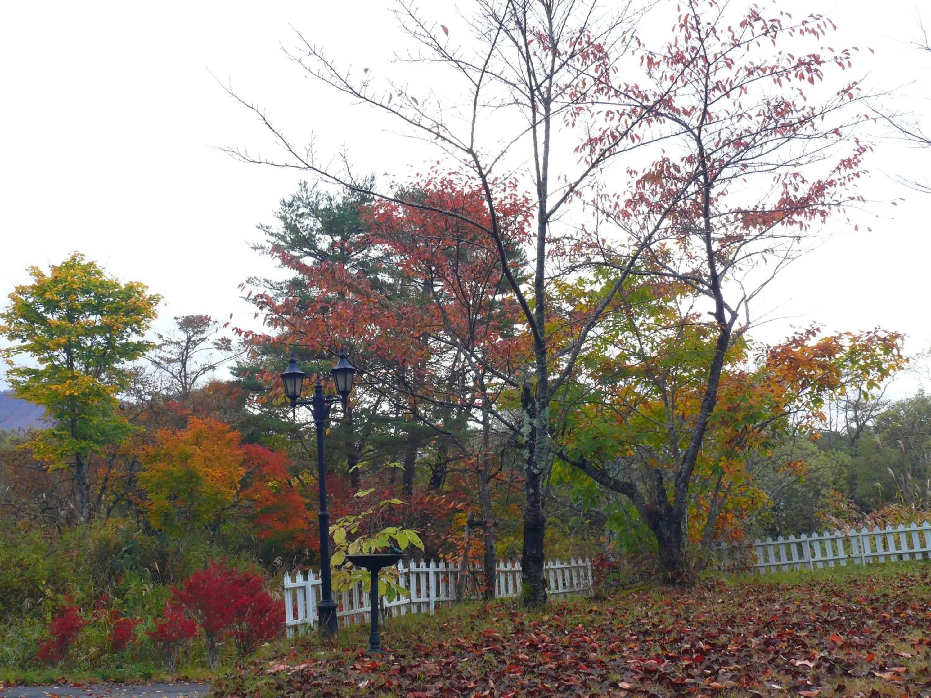 Country Inn Mori no Gorilla