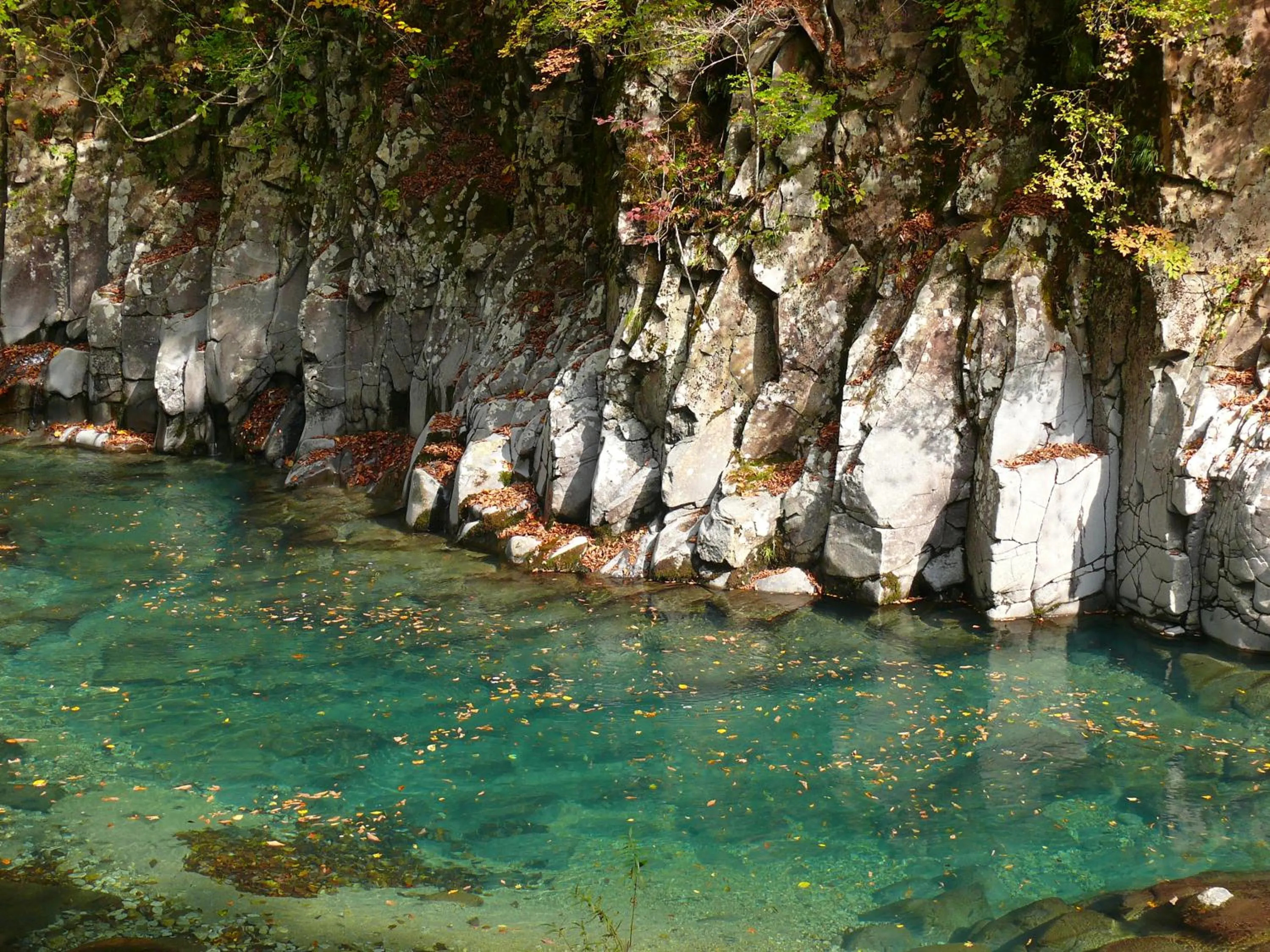 Country Inn Mori no Gorilla