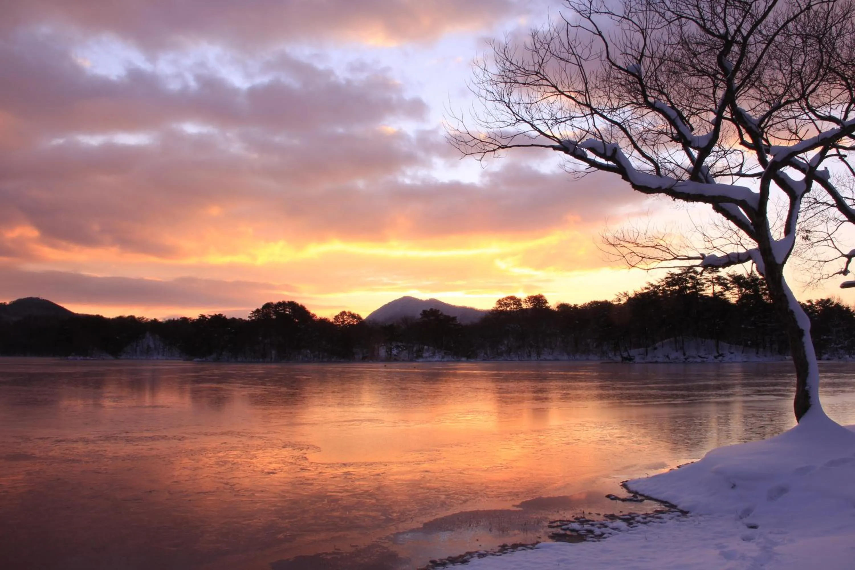 Country Inn Mori no Gorilla