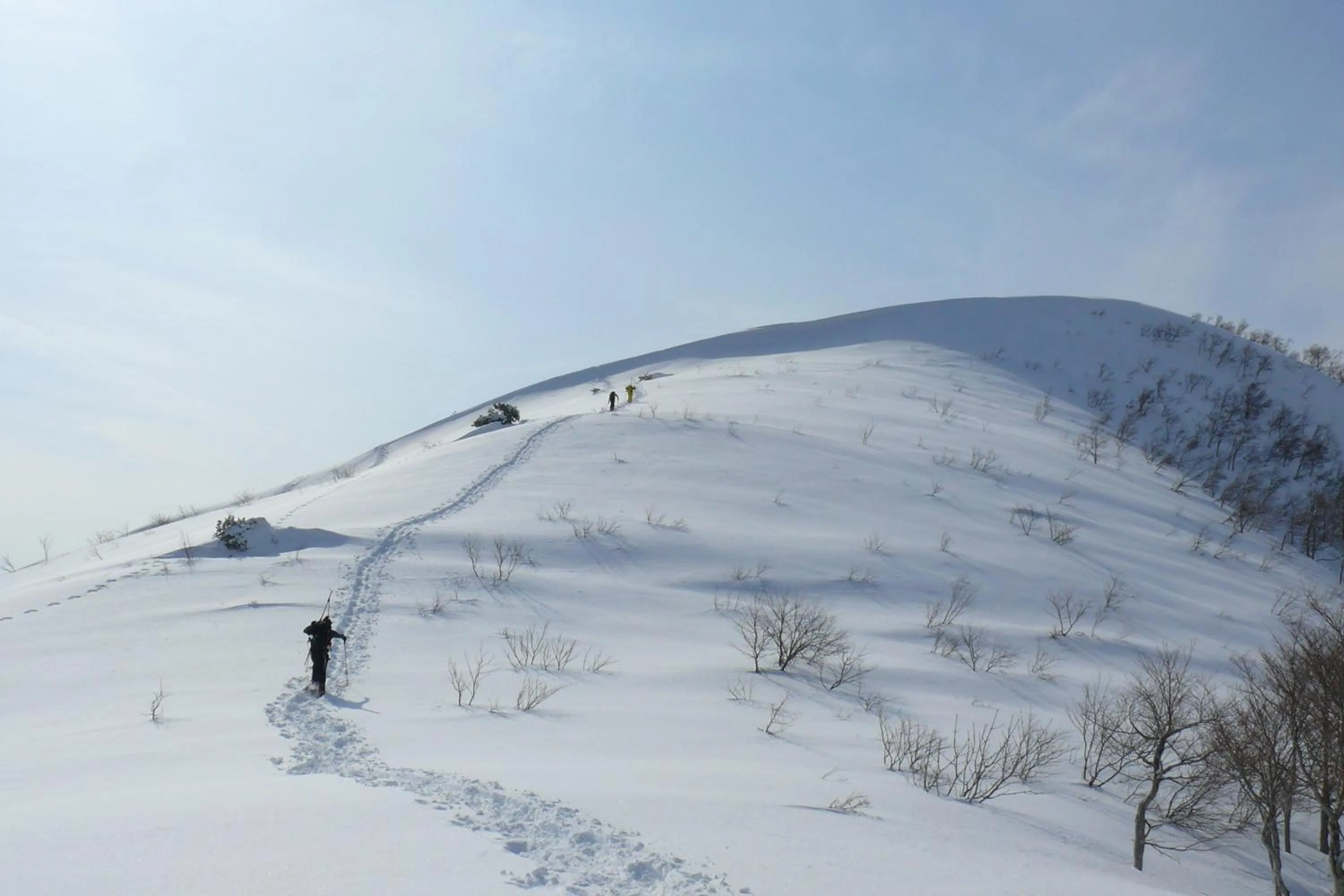 Country Inn Mori no Gorilla