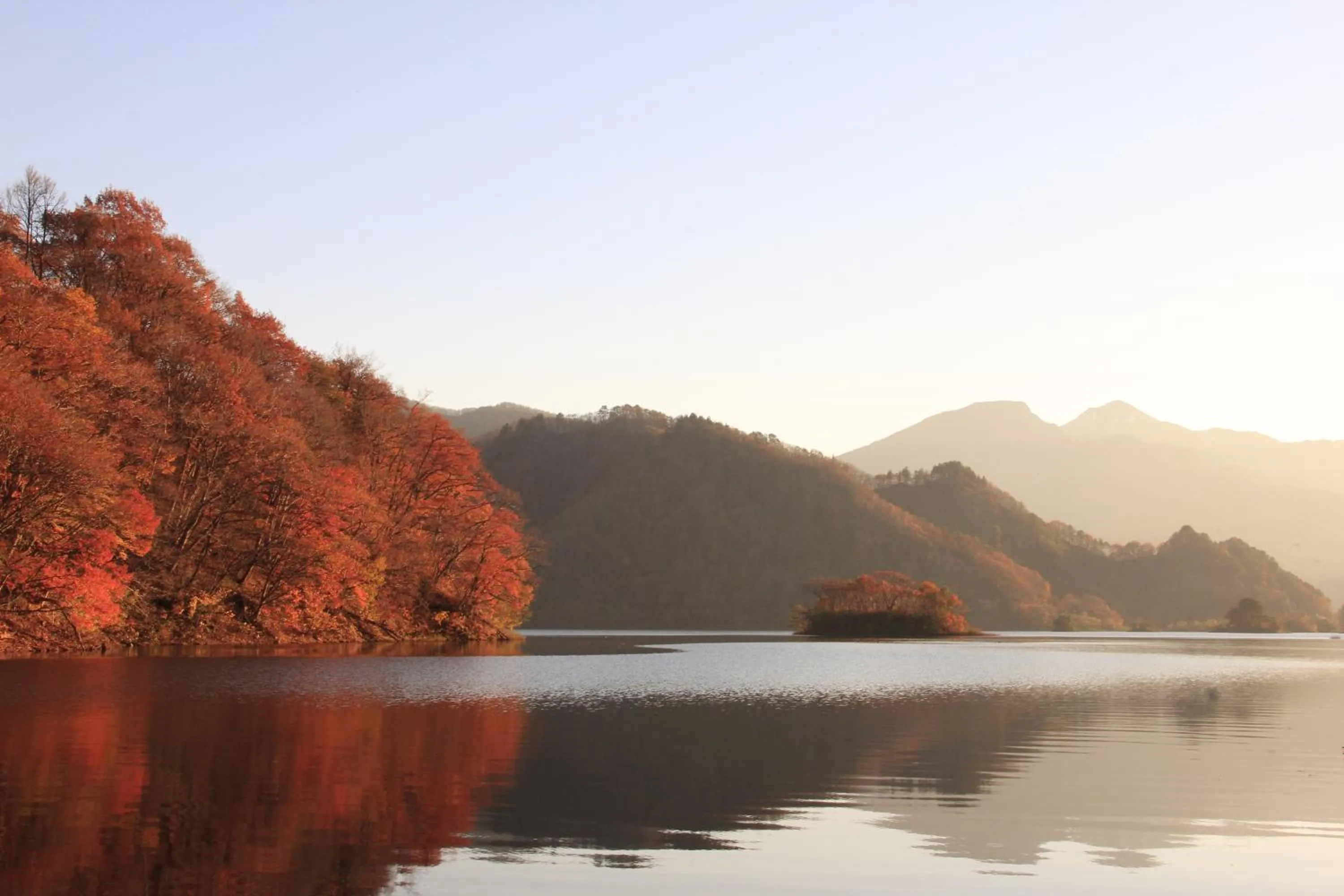 Country Inn Mori no Gorilla