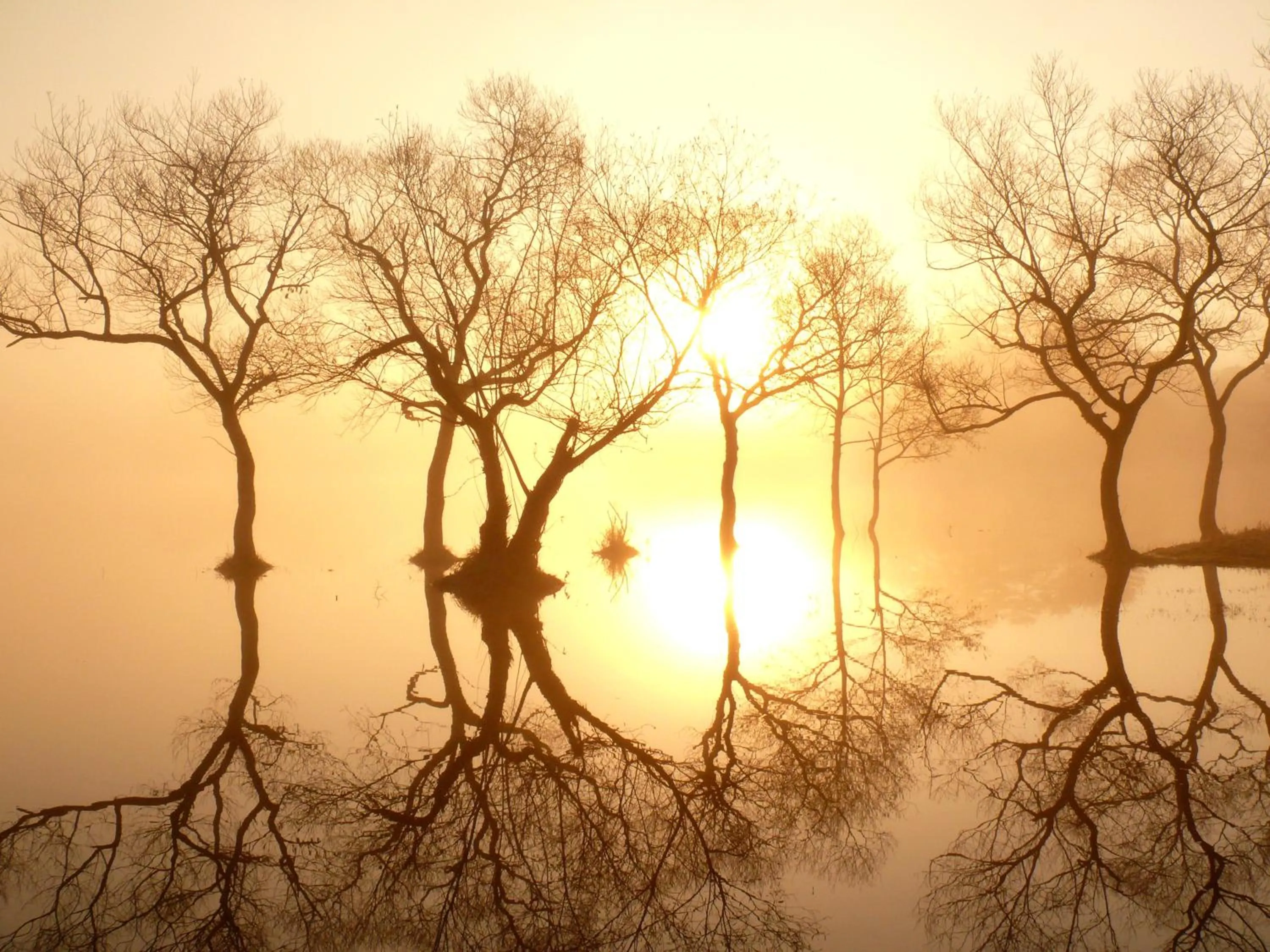 Country Inn Mori no Gorilla