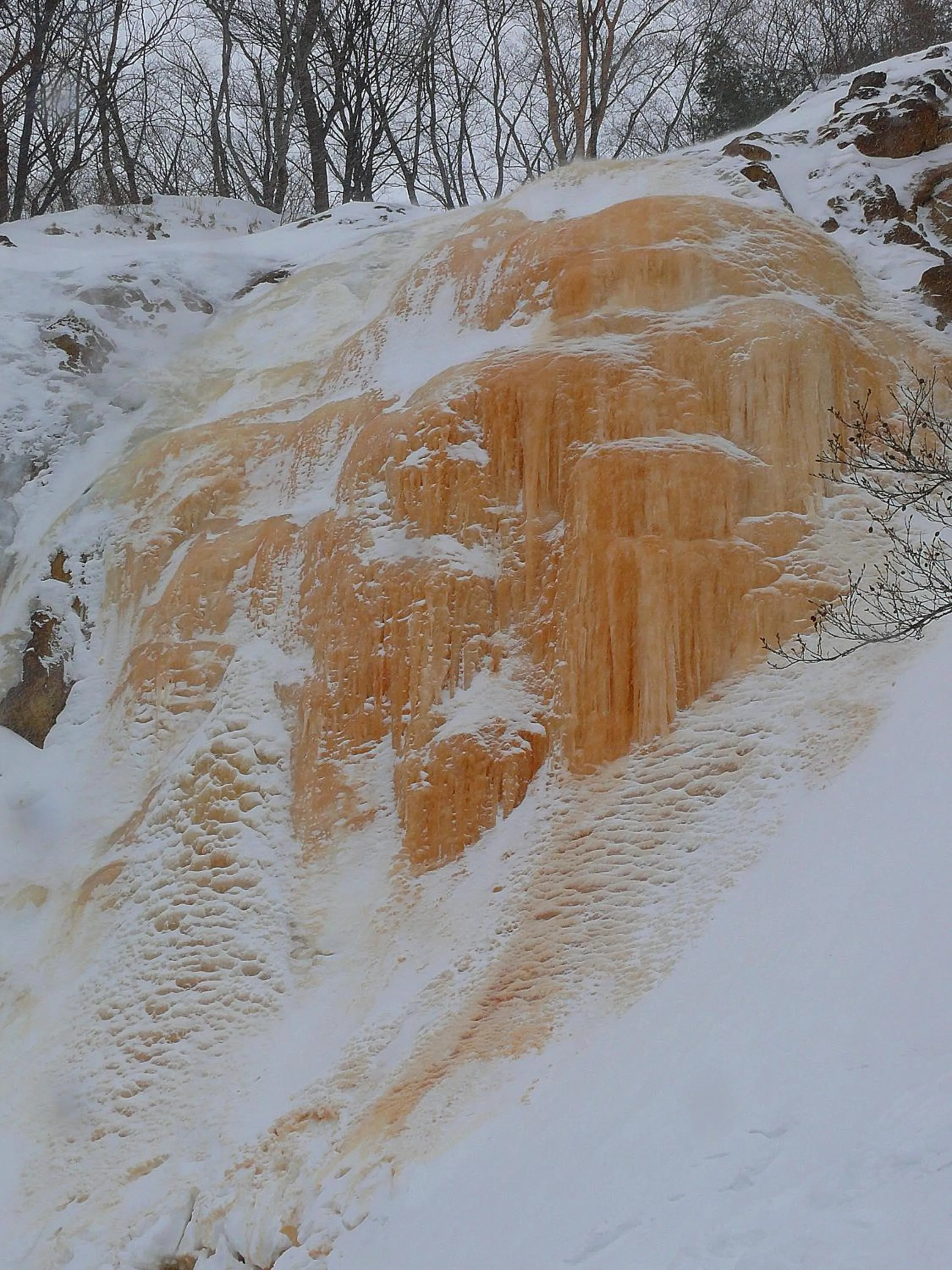 Country Inn Mori no Gorilla