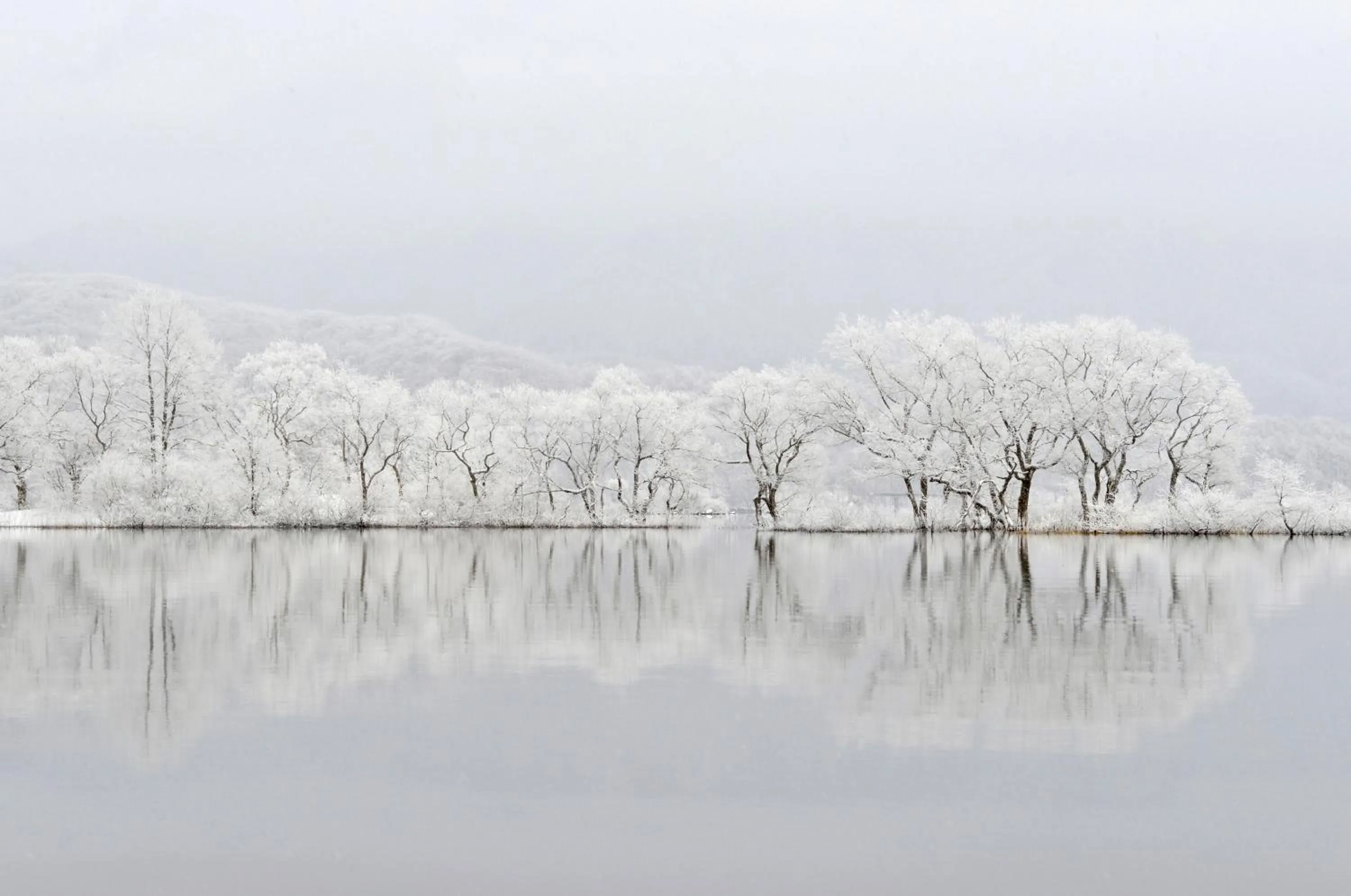 Country Inn Mori no Gorilla